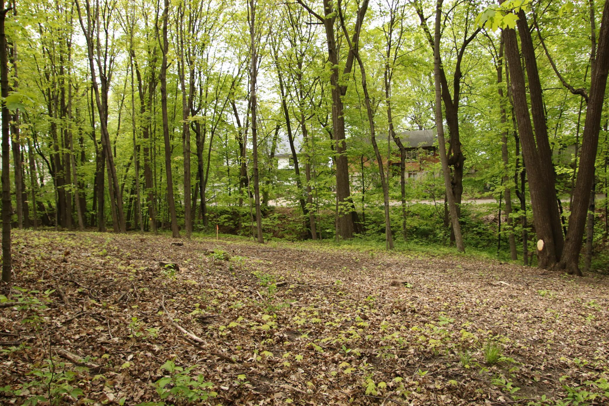 View of Land at 2885 Ardmore Avenue, Medina MN 55359, Medina - Mike Wilen | Minnesota Team Real Estate