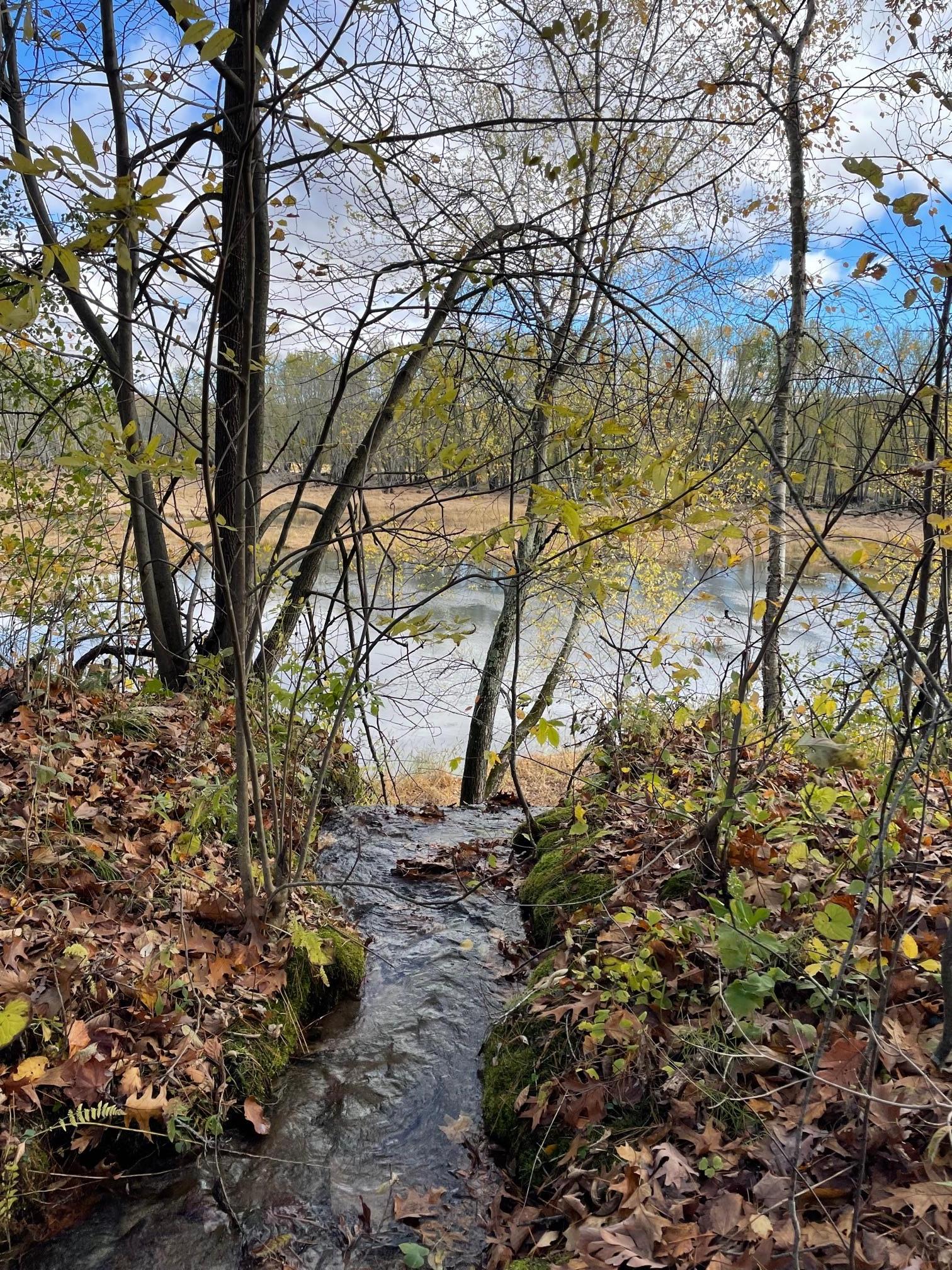 View of Land at 18247 Saint Croix Trail, Marine On Saint Croix MN 55047, Marine On Saint Croix - Mike Wilen | Minnesota Team Real Estate