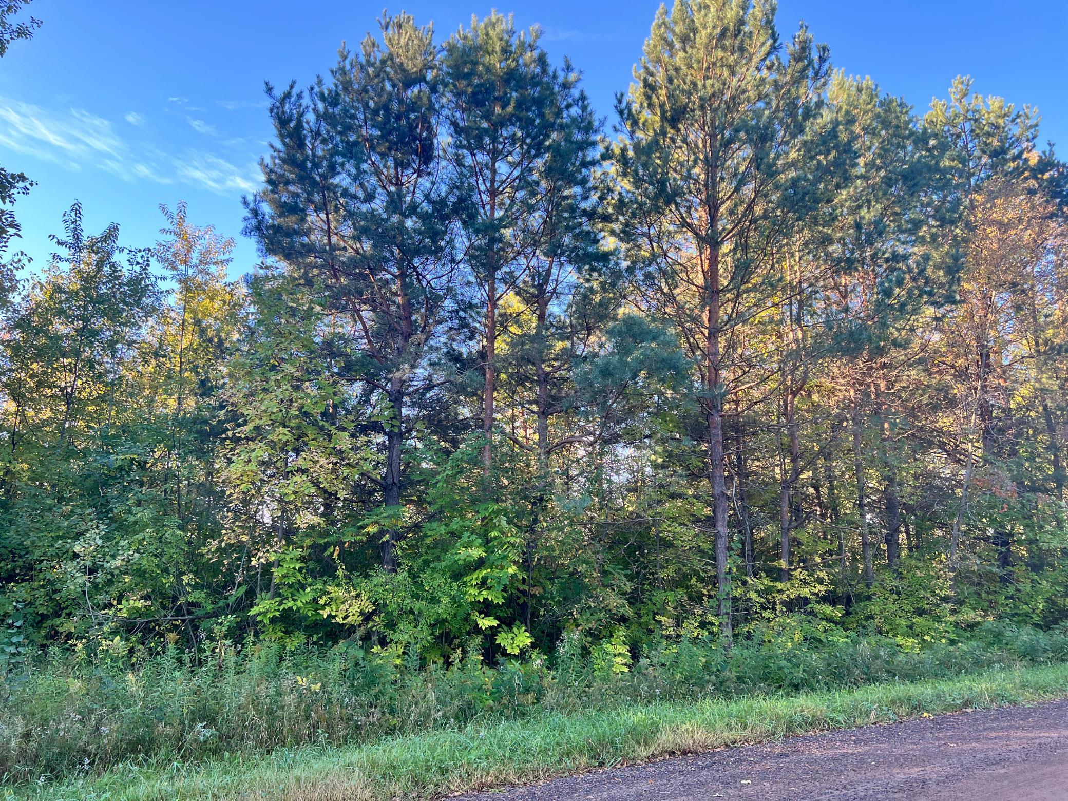 View of Land at NA Andee Avenue, Harris MN 55032, Harris - Mike Wilen | Minnesota Team Real Estate