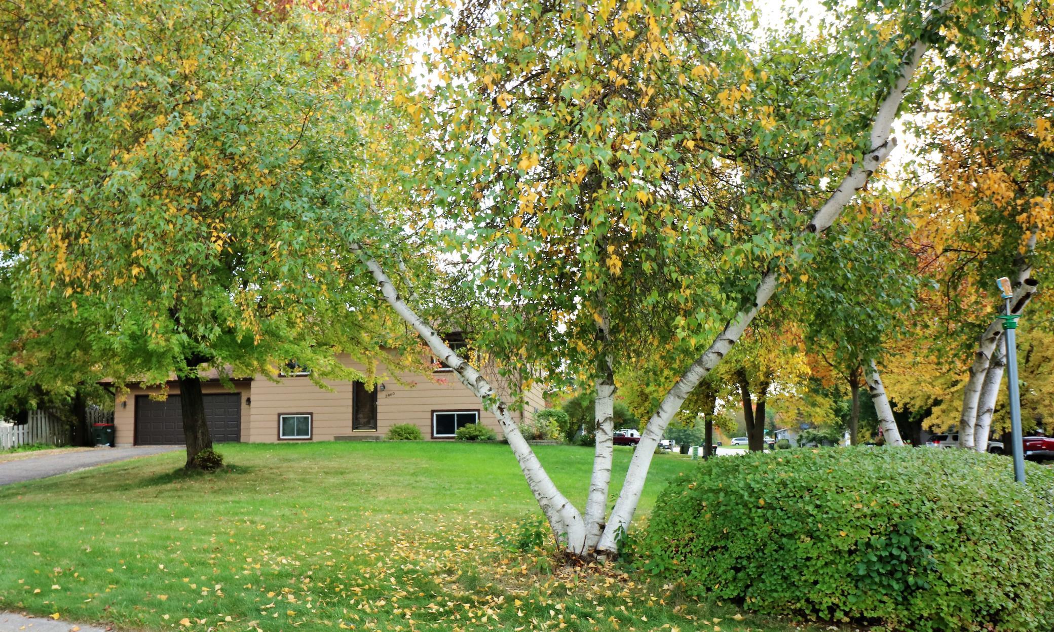 View of Residential at 2860 Red Oak Circle, Monticello MN 55362, Monticello - Mike Wilen | Minnesota Team Real Estate