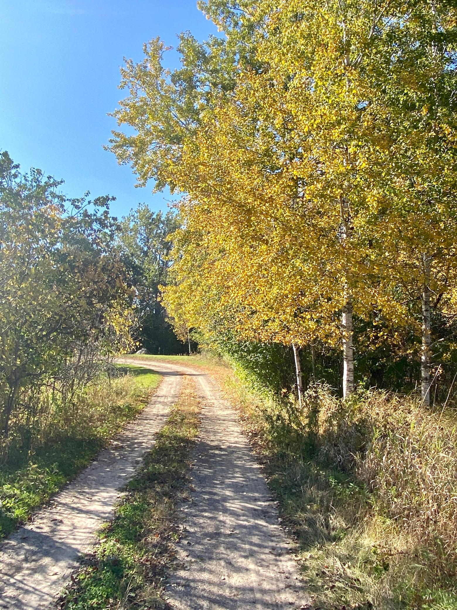 View of Land at 13247 130th Avenue, Milaca MN 56353, Milaca - Mike Wilen | Minnesota Team Real Estate