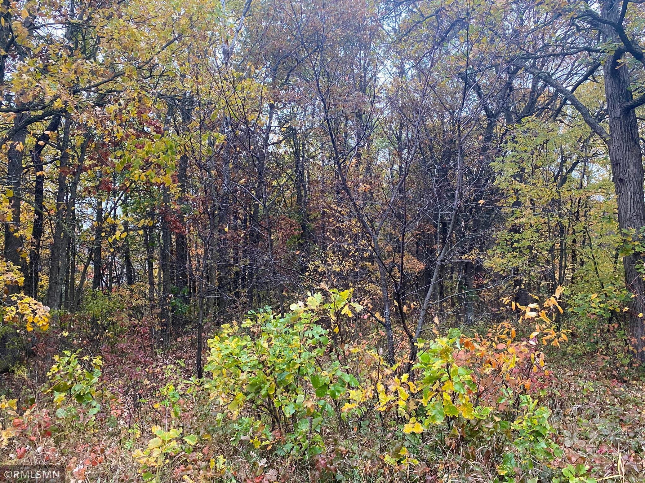 View of Land at XXXX 35th St SE, Clear Lake MN 55319, Clear Lake - Mike Wilen | Minnesota Team Real Estate
