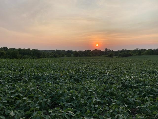 View of Land at 693 90th Street, Monticello MN 55362, Monticello - Mike Wilen | Minnesota Team Real Estate