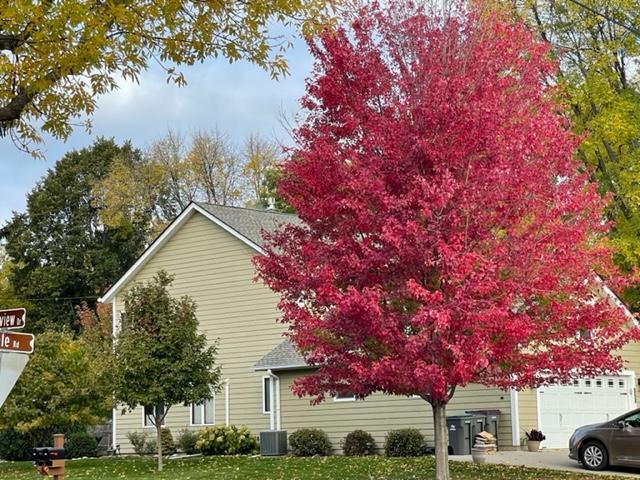 View of Residential at 3901 Crestview Drive, Excelsior MN 55331, Excelsior - Mike Wilen | Minnesota Team Real Estate
