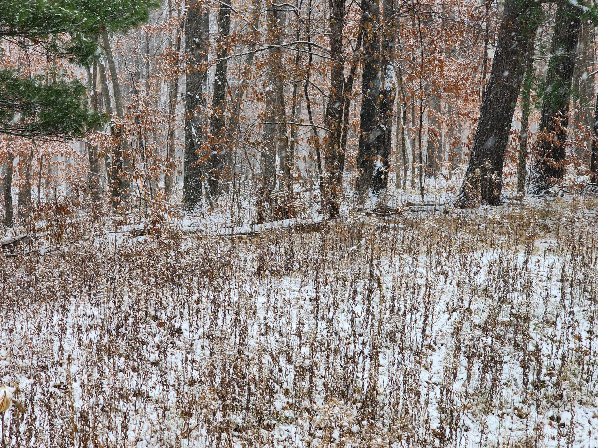 View of Land at XXXX Deer Drive, Harris MN 55032, Harris - Mike Wilen | Minnesota Team Real Estate