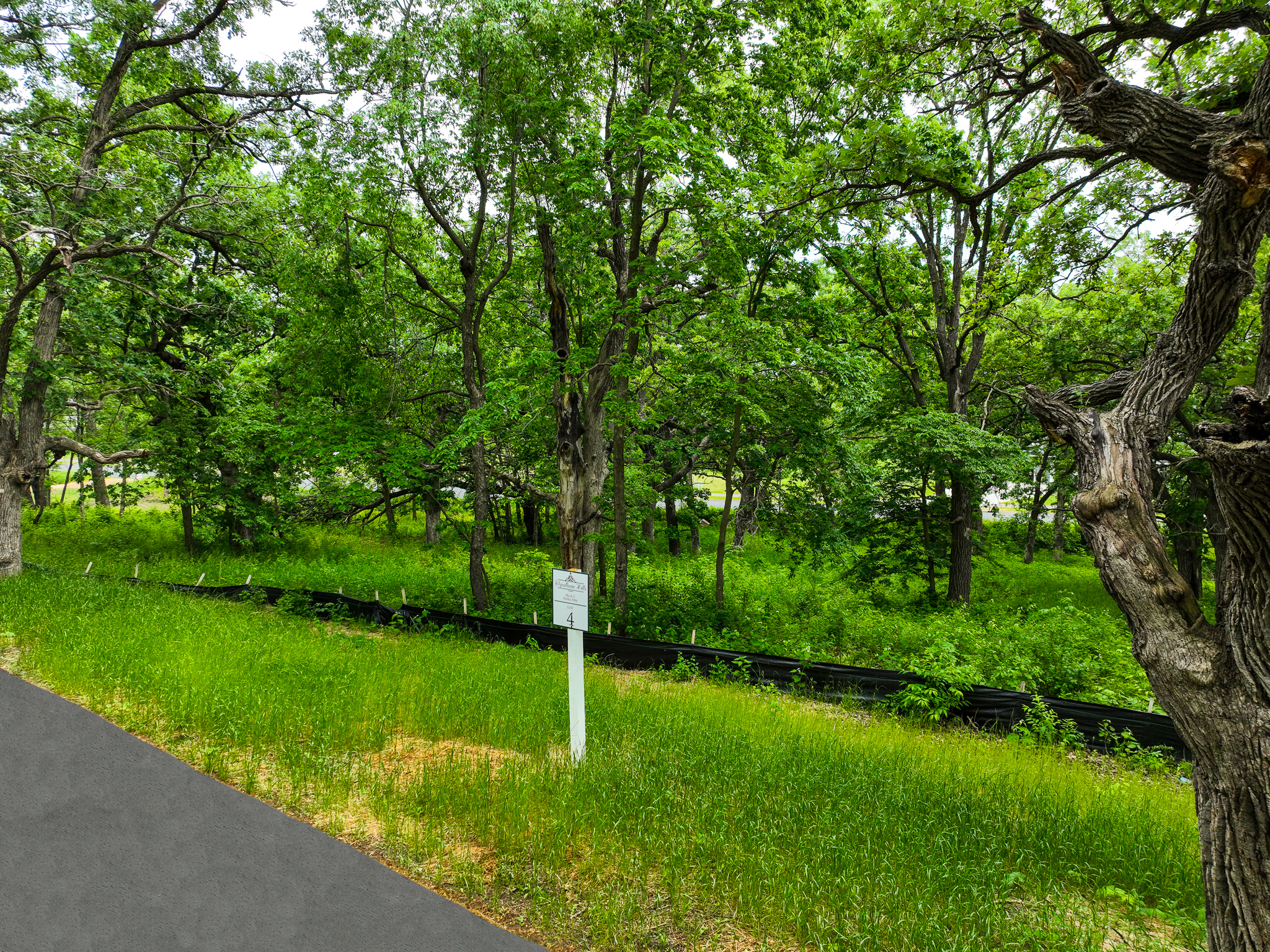 View of Land at 1700 River Shore Drive, Hastings MN 55033, Hastings - Mike Wilen | Minnesota Team Real Estate