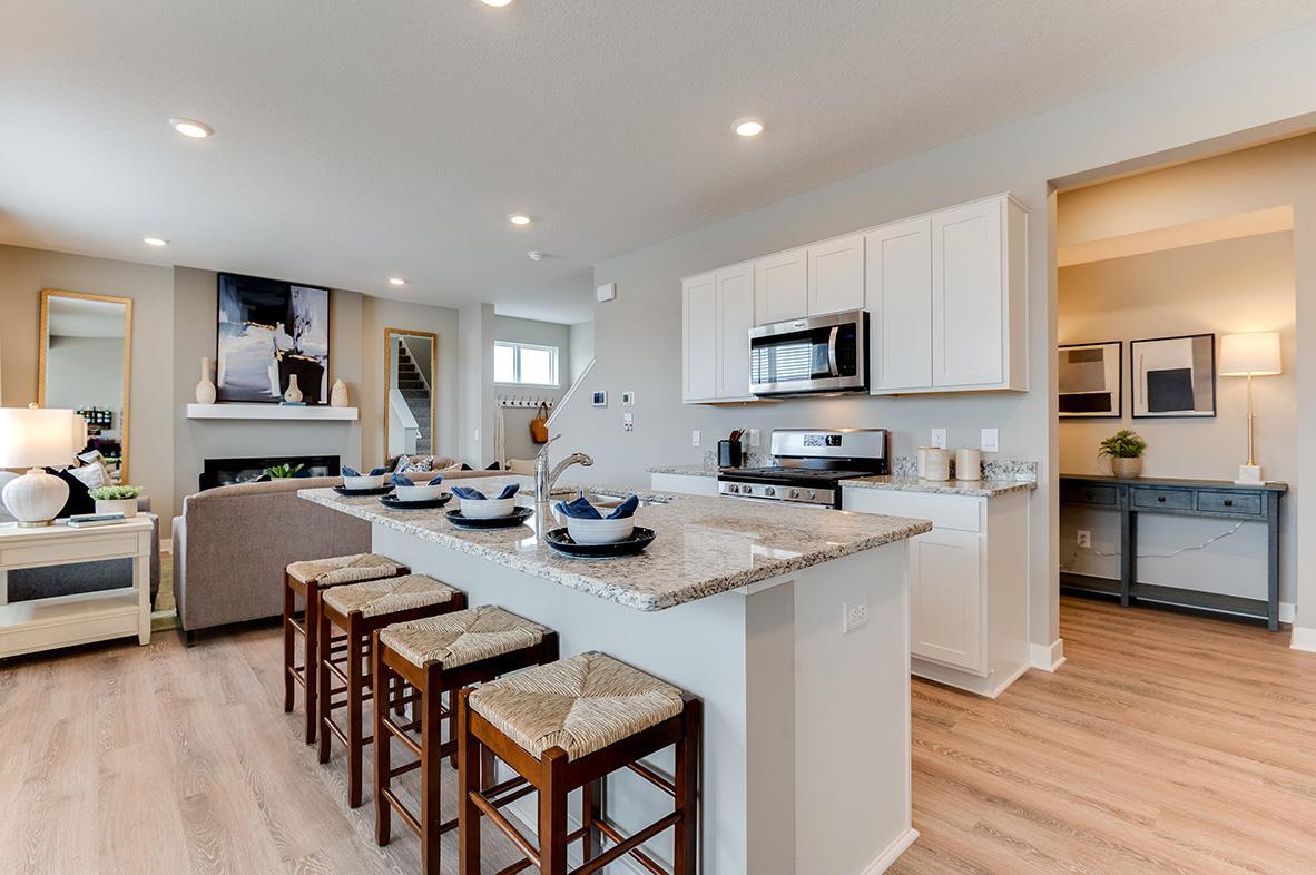View of Residential at 238 Snowdrop Trail, Waconia MN 55387, Waconia - Mike Wilen | Minnesota Team Real Estate