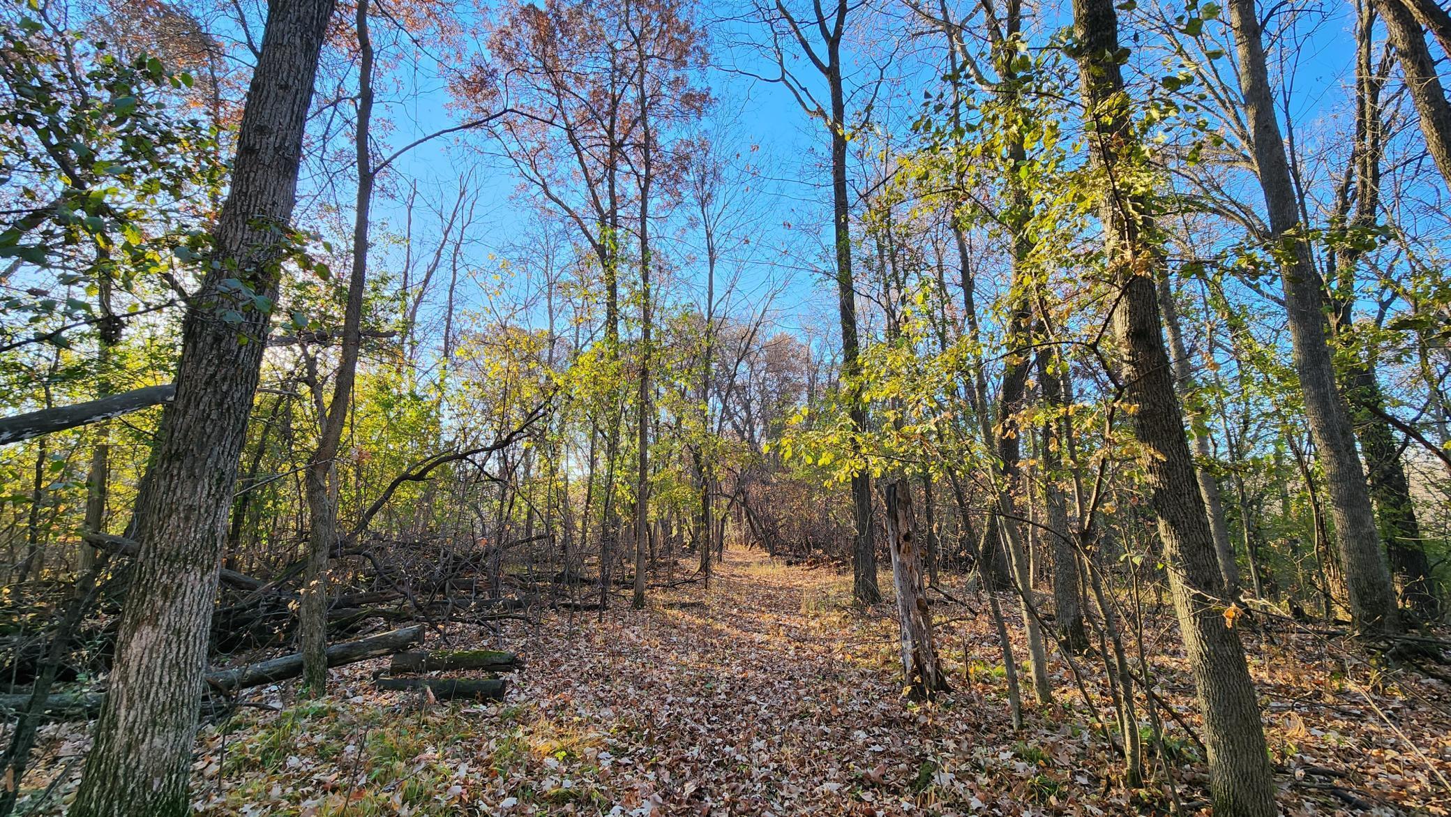 View of Land at 223yy Lake George Boulevard, Andover MN 55303, Andover - Mike Wilen | Minnesota Team Real Estate