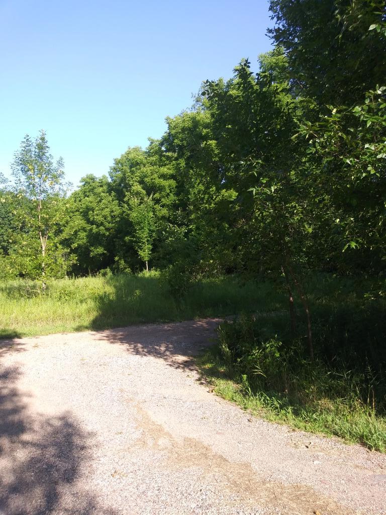 View of Land at 16416 70th Avenue, Maple Grove MN 55311, Maple Grove - Mike Wilen | Minnesota Team Real Estate
