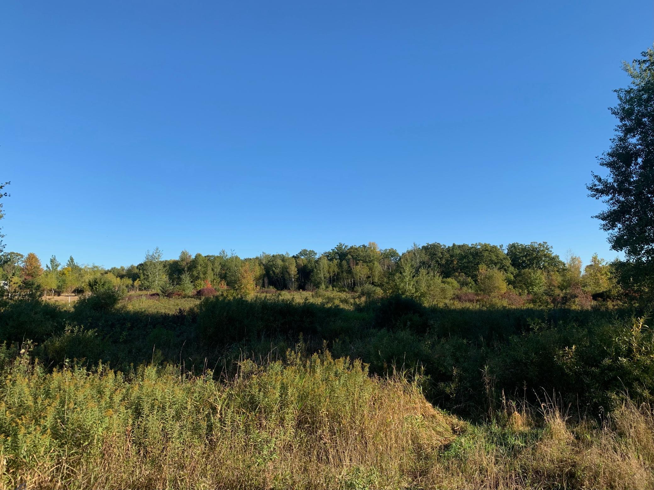 View of Land at XXXX 180th Street, Ogilvie MN 56358, Ogilvie - Mike Wilen | Minnesota Team Real Estate