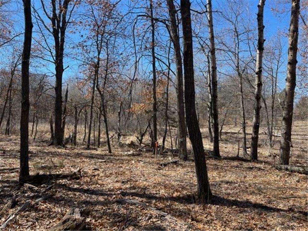 View of Land at 16177 225th Avenue, Elk River MN 55330, Elk River - Mike Wilen | Minnesota Team Real Estate