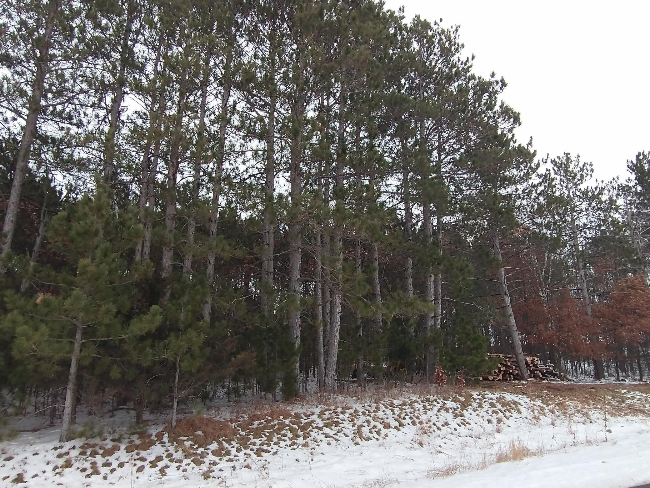 View of Land at 2826X 112th Street, Zimmerman MN 55398, Zimmerman - Mike Wilen | Minnesota Team Real Estate