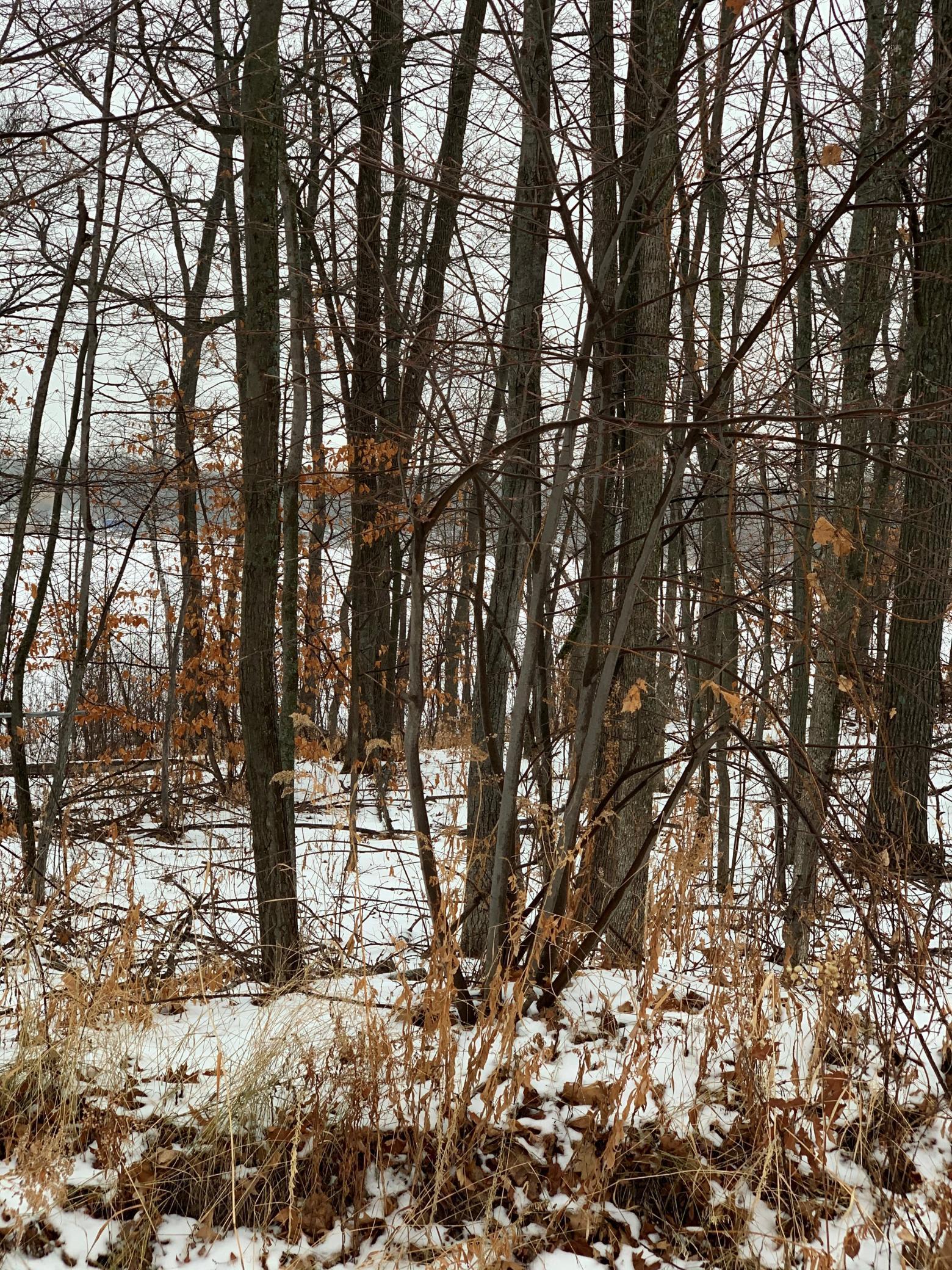 View of Land at 18XXX Lot 23 Captive Lake Road, Garrison MN 56338, Garrison - Mike Wilen | Minnesota Team Real Estate