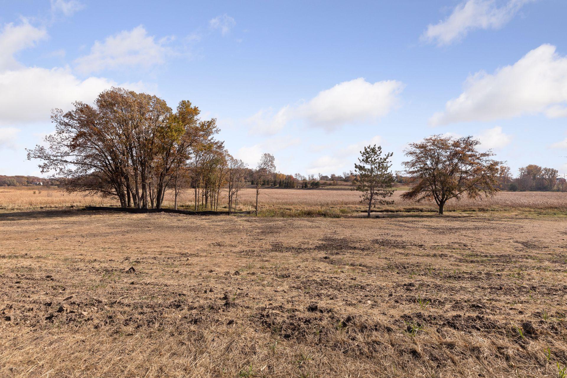 View of Land at 1560 Marsh Pointe Court, Medina MN 55340, Medina - Mike Wilen | Minnesota Team Real Estate