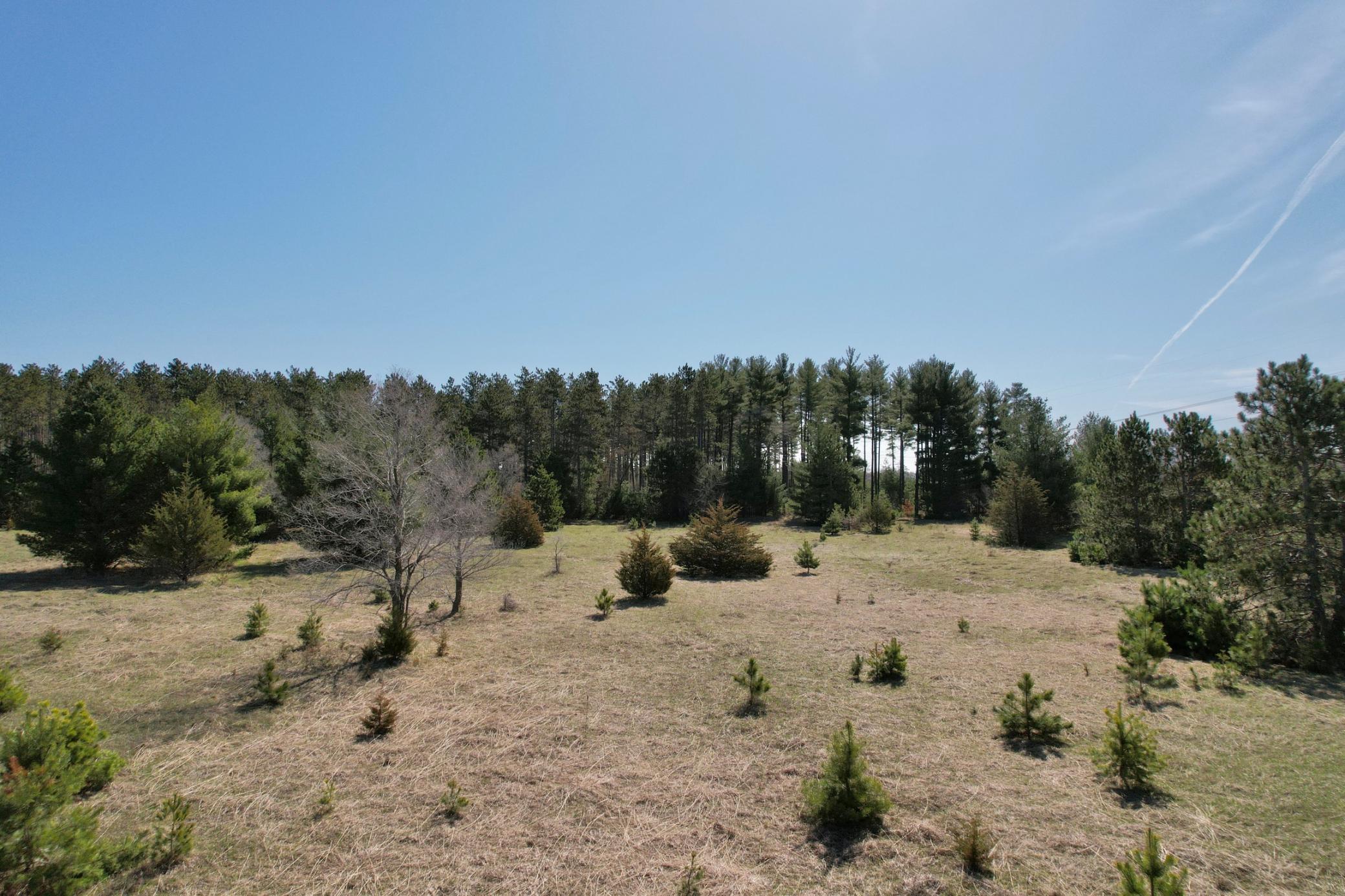 View of Land at Lot 2 Co Rd 43, Big Lake MN 55309, Big Lake - Mike Wilen | Minnesota Team Real Estate