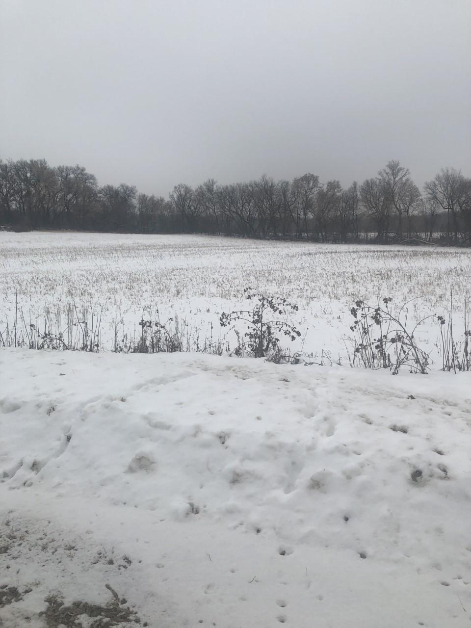 View of Land at XXXX Pine Bend Trail, Hastings MN 55057, Hastings - Mike Wilen | Minnesota Team Real Estate