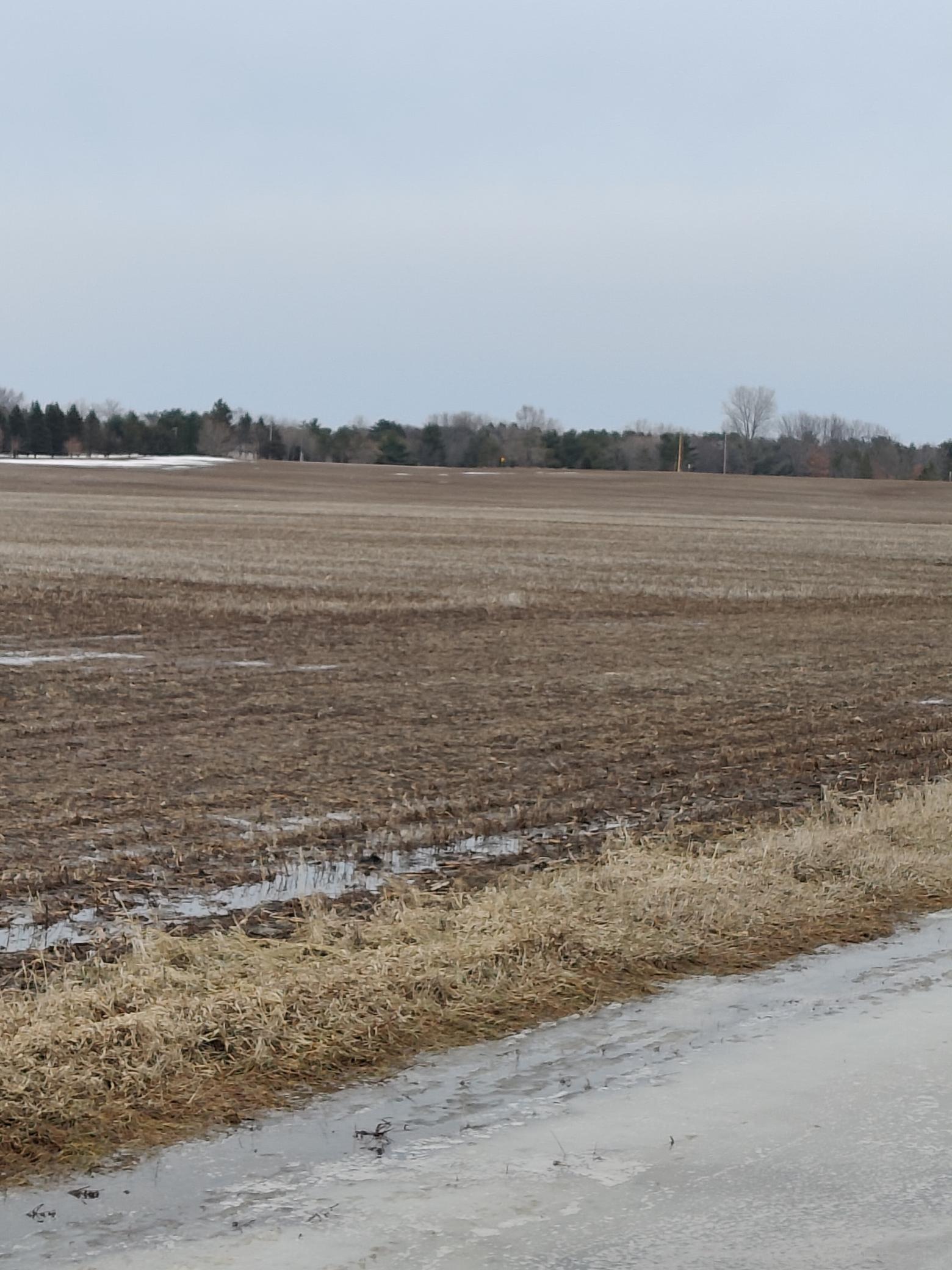 View of Land at 1xxxx Jody Avenue, Hugo MN 55038, Hugo - Mike Wilen | Minnesota Team Real Estate
