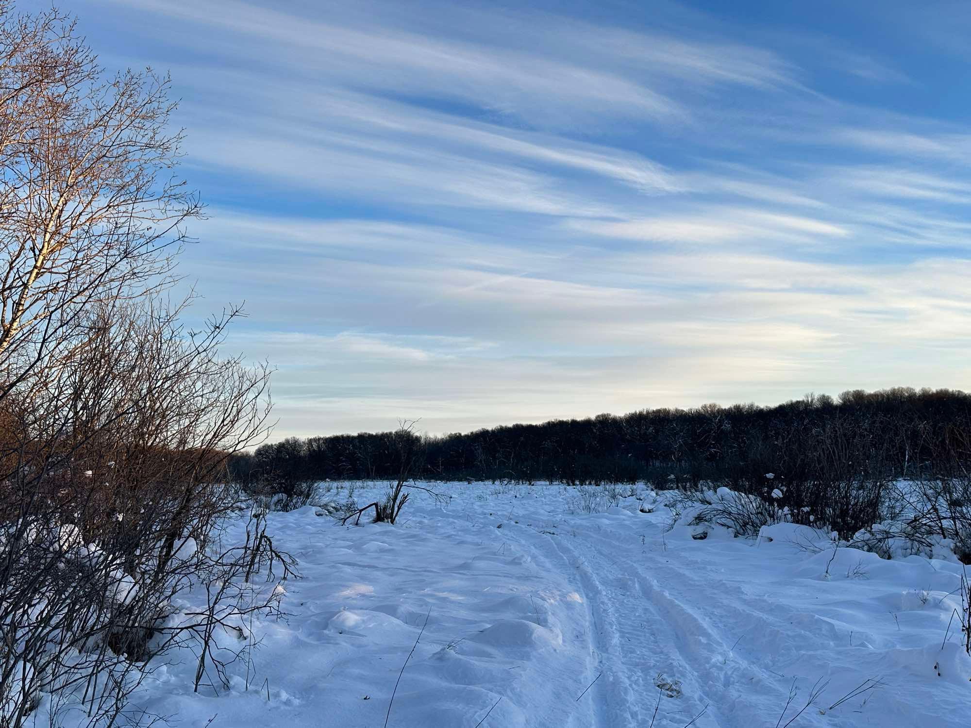 View of Land at xxx 239 Avenue, Stacy MN 55079, Stacy - Mike Wilen | Minnesota Team Real Estate