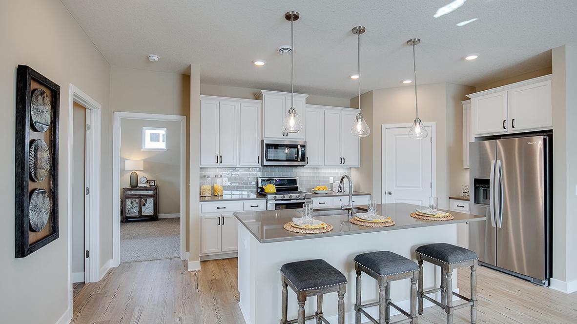 View of Residential at 19138 Grass Lake Trail, Rogers MN 55374, Rogers - Mike Wilen | Minnesota Team Real Estate