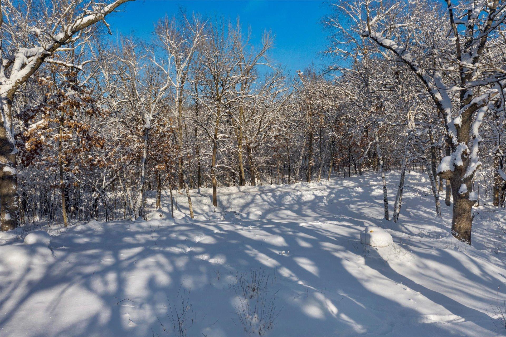 View of Land at 9225 63rd Street, Stillwater MN 55082, Stillwater - Mike Wilen | Minnesota Team Real Estate