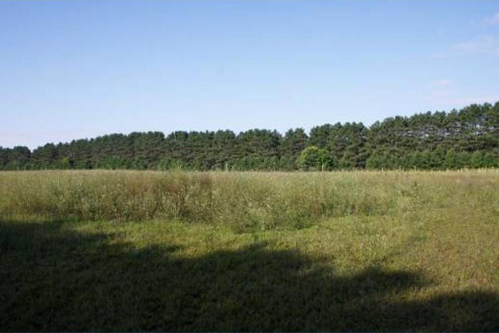 View of Land at xxxxx Bethel Boulevard, East Bethel MN 55011, East Bethel - Mike Wilen | Minnesota Team Real Estate