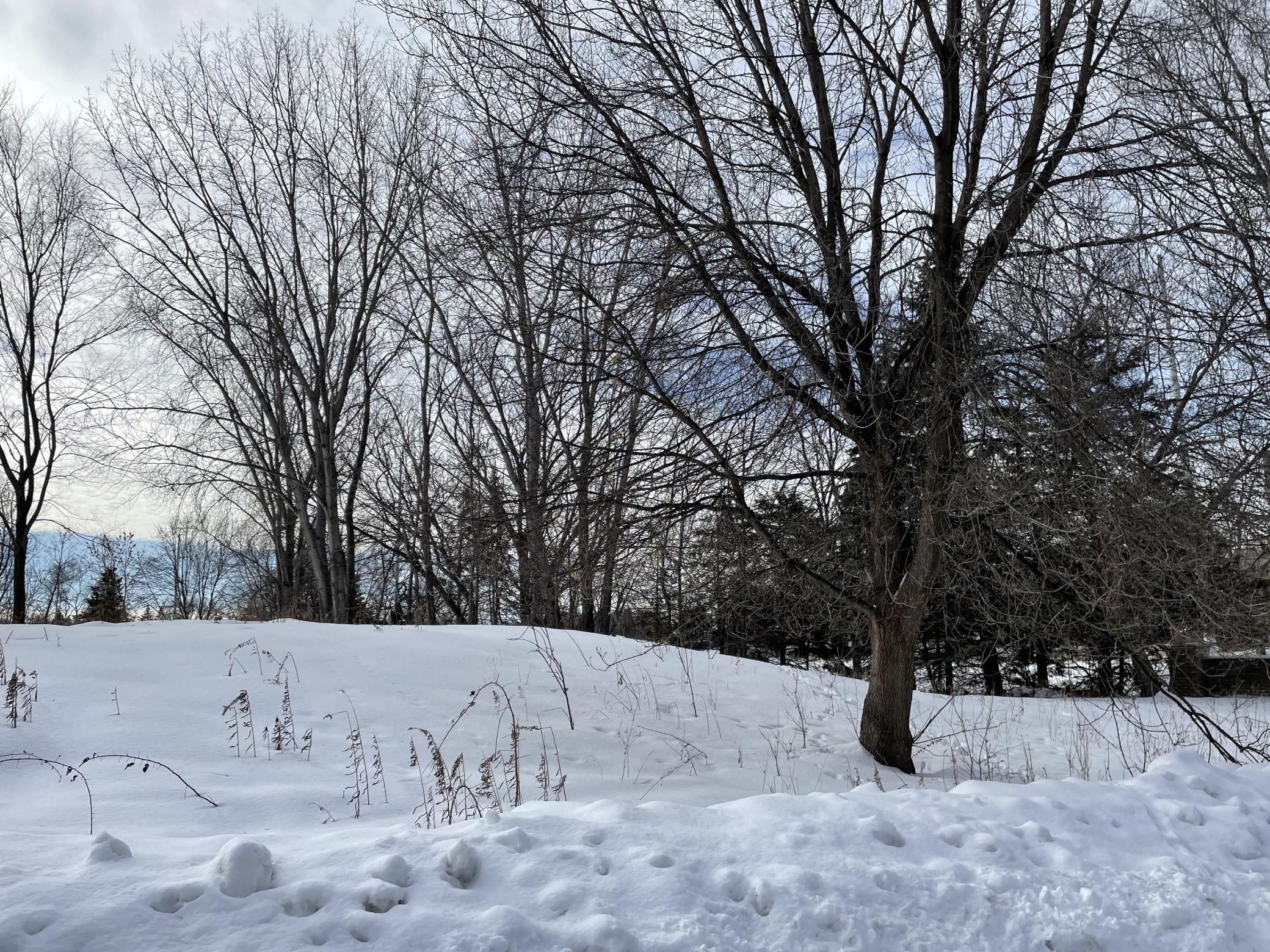 View of Land at 17187 Padons Drive, Eden Prairie MN 55346, Eden Prairie - Mike Wilen | Minnesota Team Real Estate
