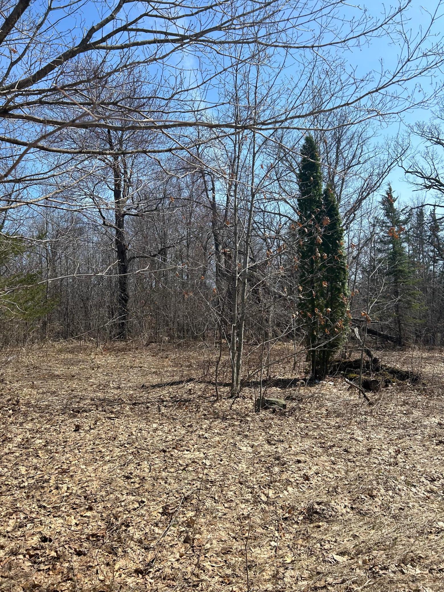 View of Land at 15XXX 392nd Street, Center City MN 55012, Center City - Mike Wilen | Minnesota Team Real Estate