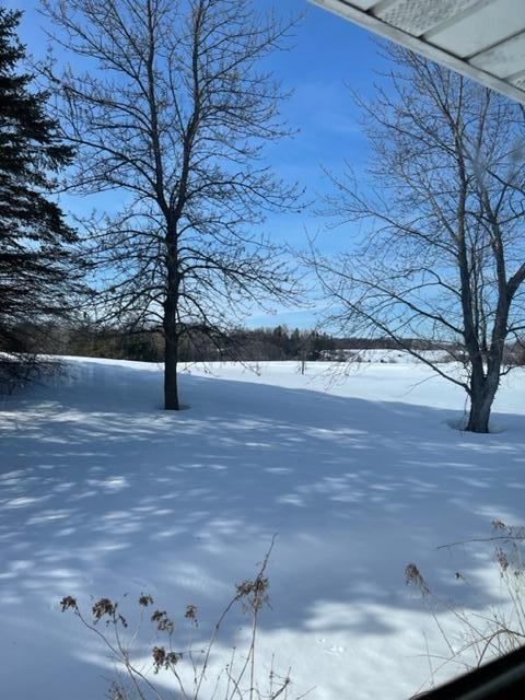 View of Residential at 1856 Colbert Avenue, Buffalo MN 55313, Buffalo - Mike Wilen | Minnesota Team Real Estate