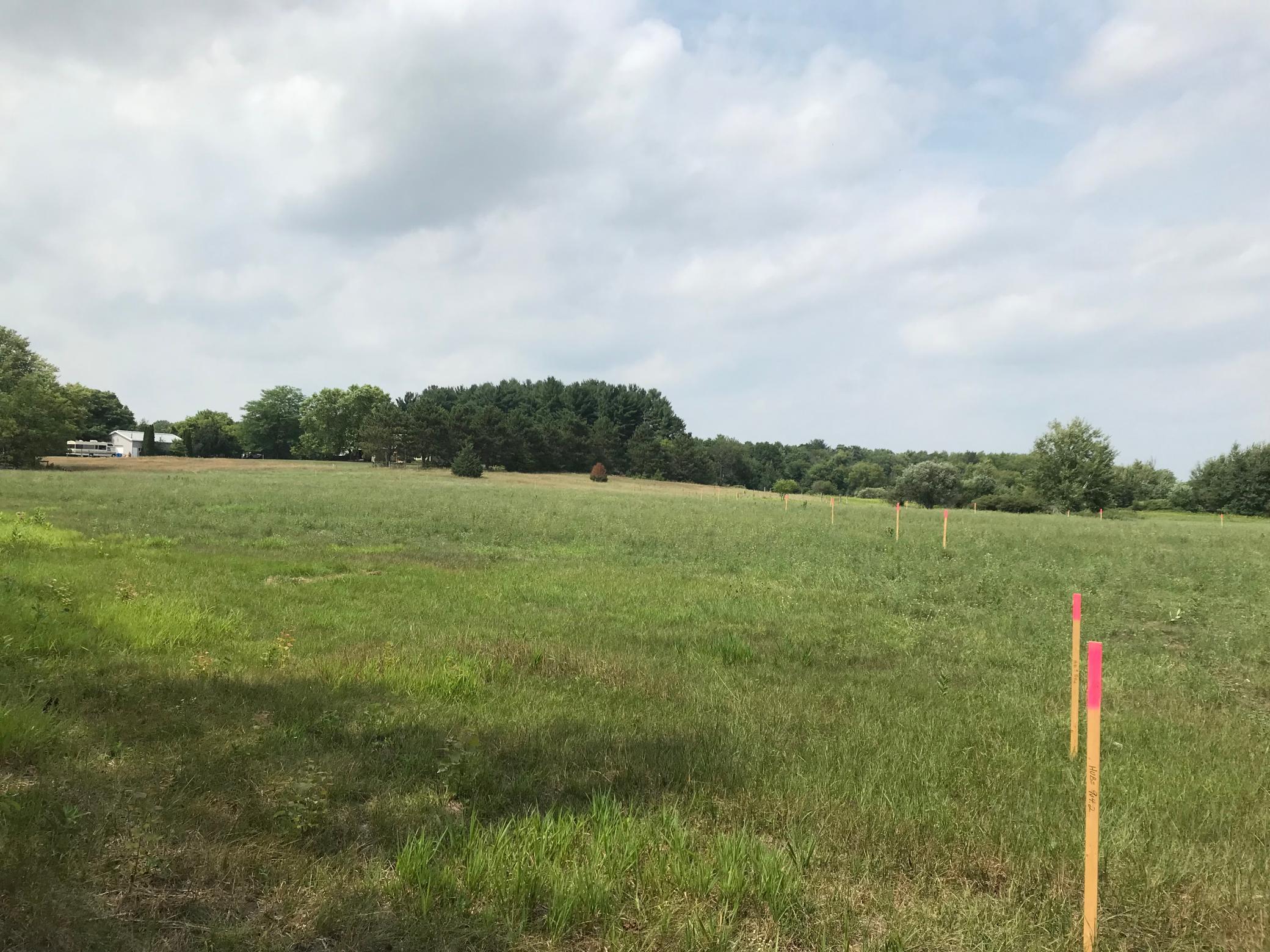 View of Land at 33033 Fenway Avenue, Stacy MN 55079, Stacy - Mike Wilen | Minnesota Team Real Estate