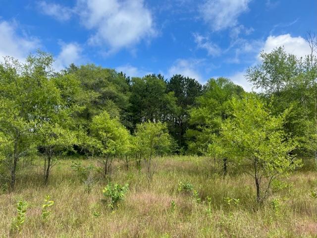 View of Land at xxx4.8 Camp 3 Road, Columbus MN 55025, Columbus - Mike Wilen | Minnesota Team Real Estate