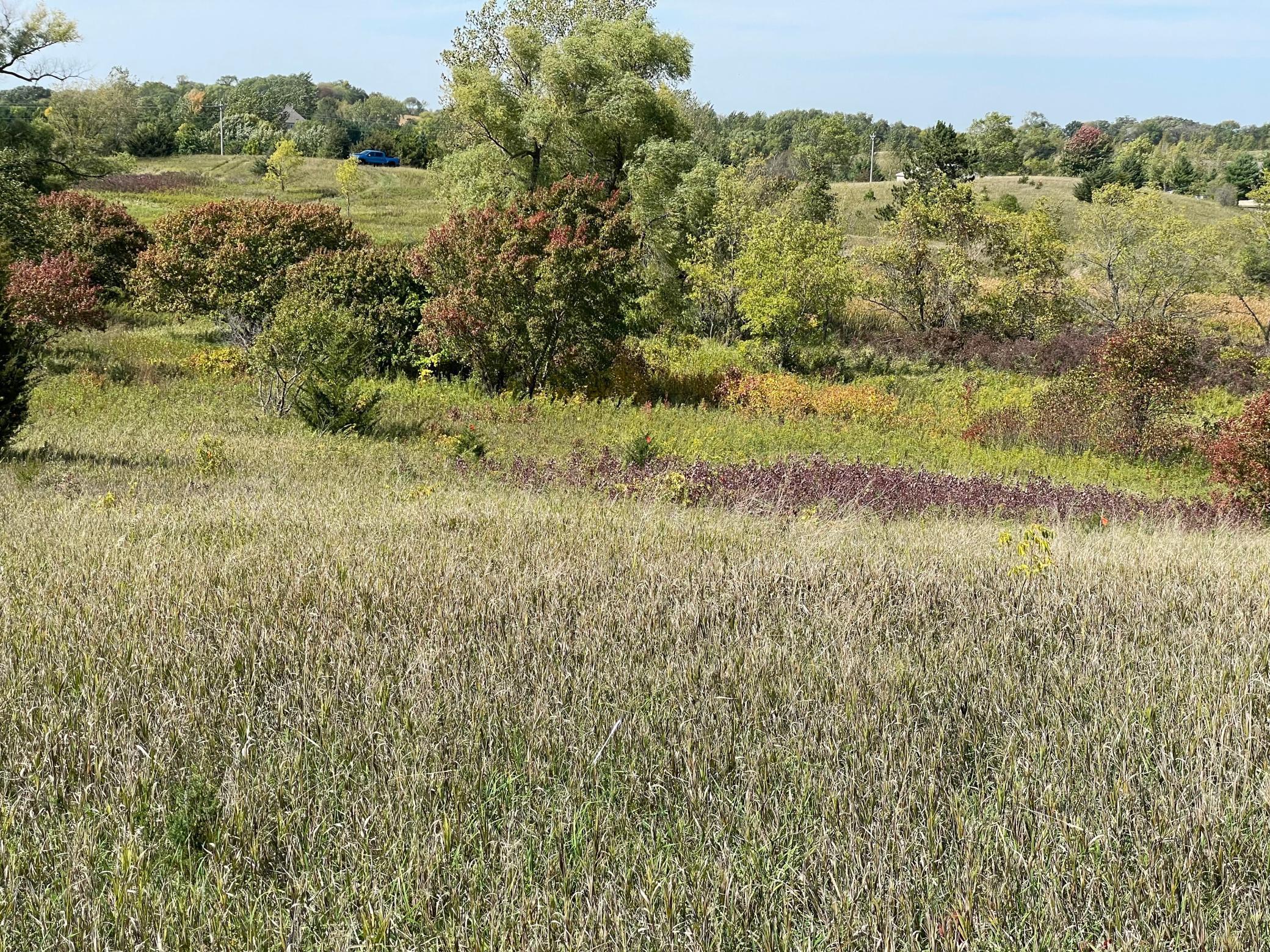 View of Land at XXX Natchez Avenue, Elko New Market MN 55044, Elko New Market - Mike Wilen | Minnesota Team Real Estate