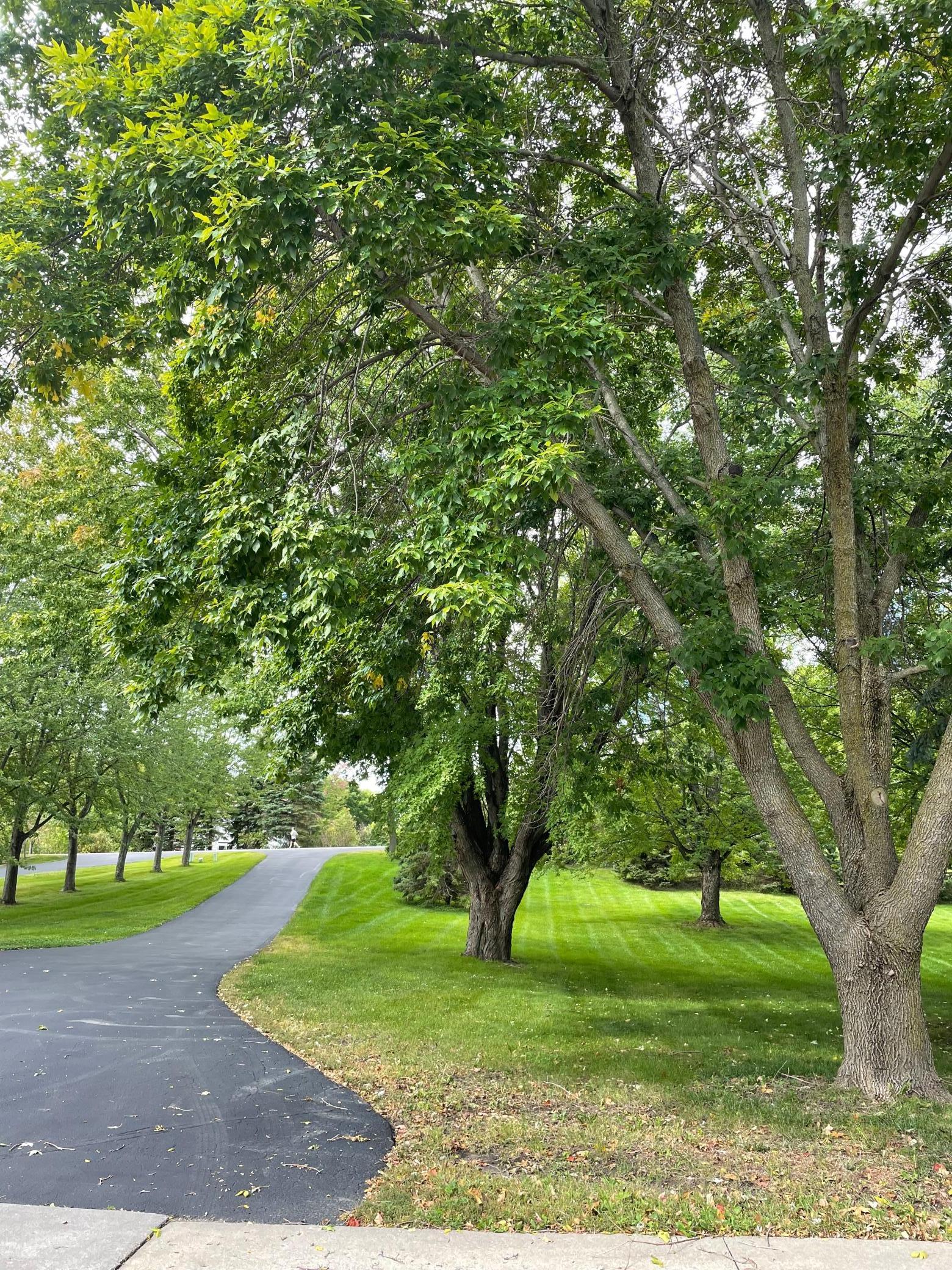 View of Land at 6681 Galpin Boulevard, Excelsior MN 55331, Excelsior - Mike Wilen | Minnesota Team Real Estate