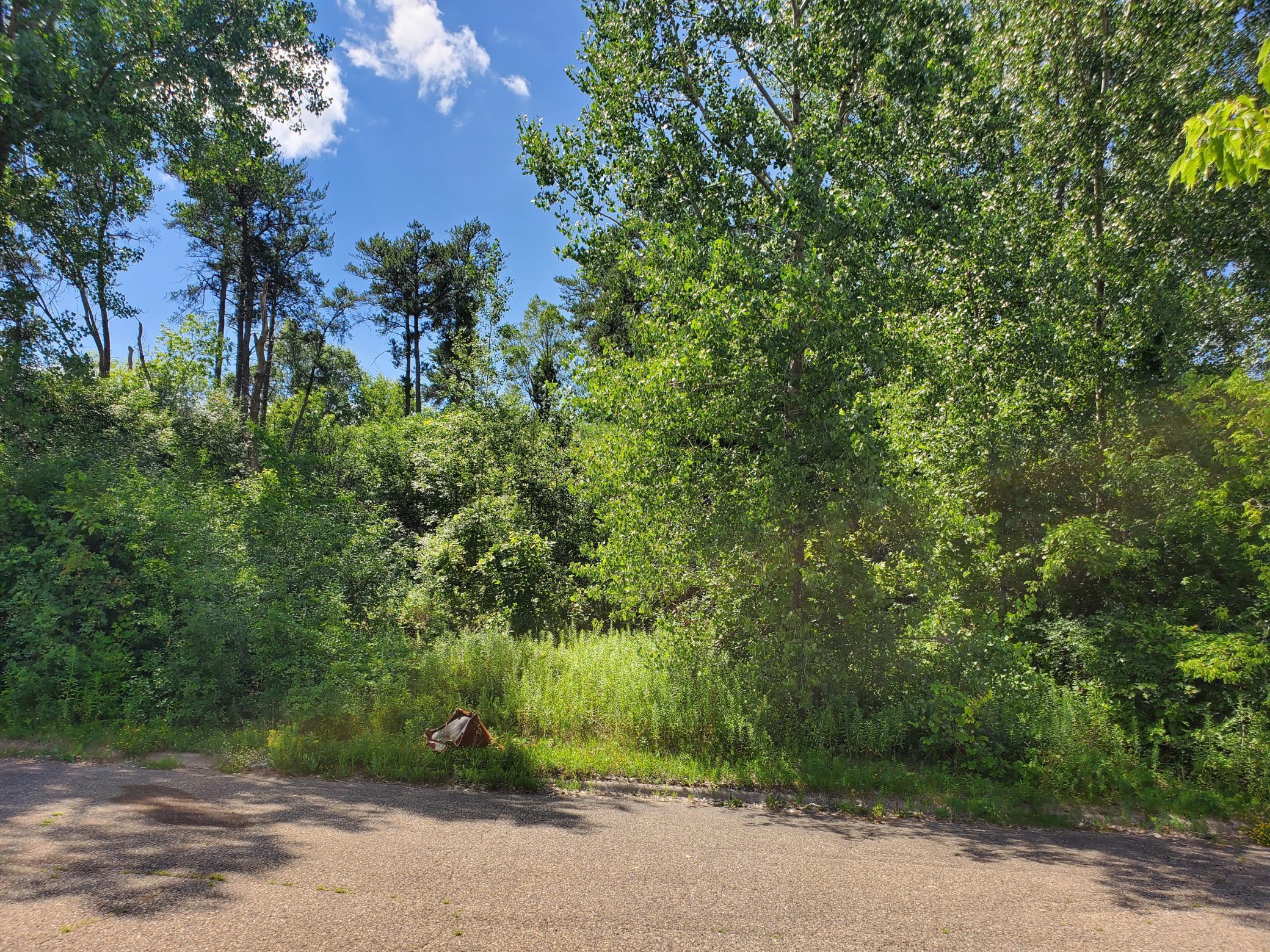 View of Land at 15xxx Buck Hill Road, Burnsville MN 55306, Burnsville - Mike Wilen | Minnesota Team Real Estate