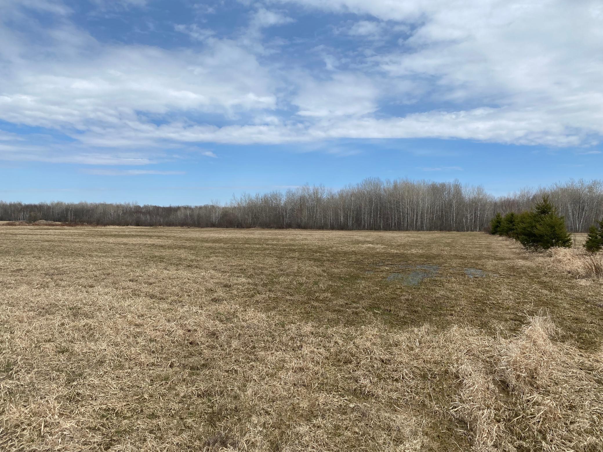 View of Land at XXX 145th Avenue, Milaca MN 56353, Milaca - Mike Wilen | Minnesota Team Real Estate