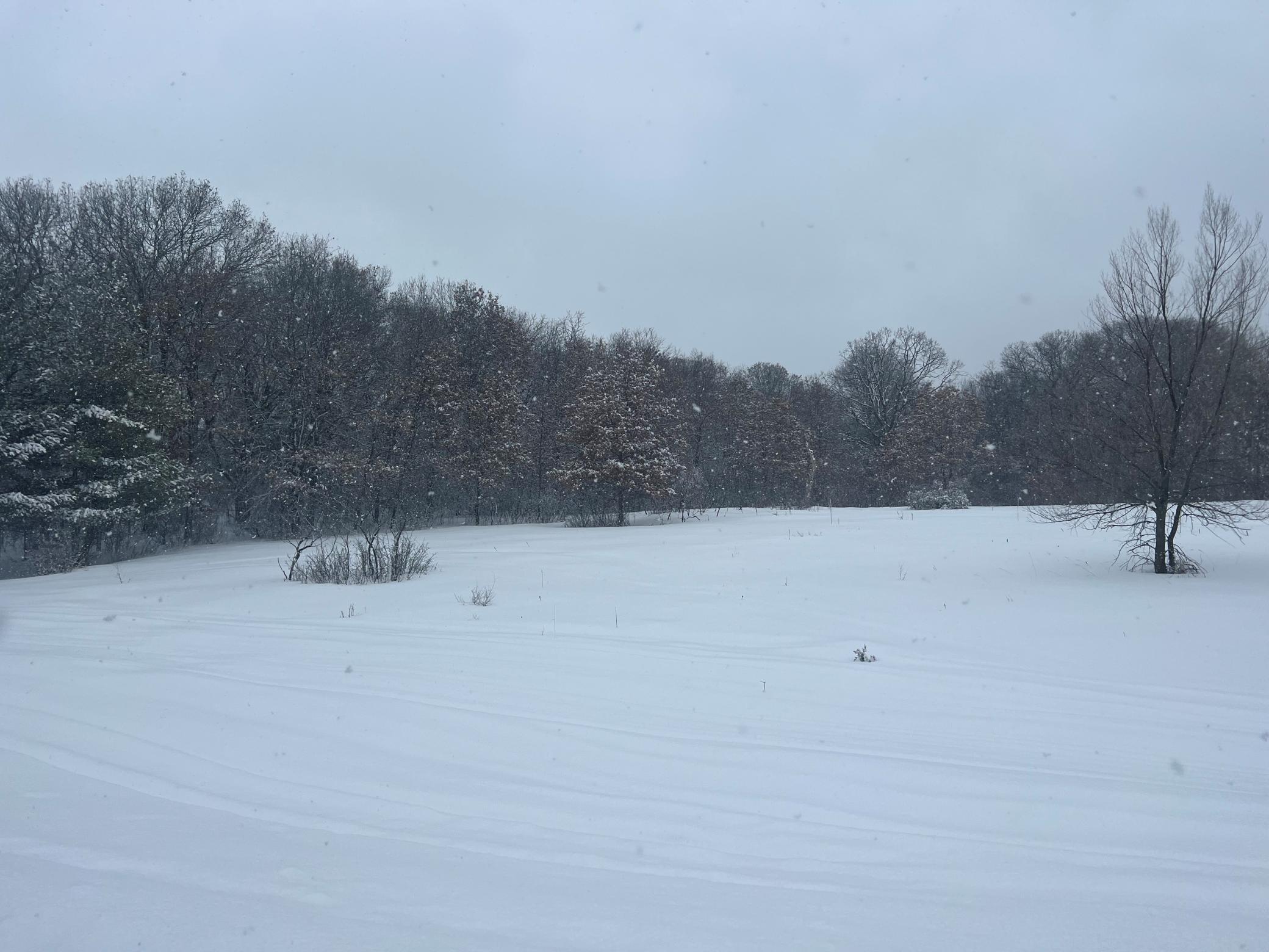 View of Land at 20758 217th Avenue, Big Lake MN 55309, Big Lake - Mike Wilen | Minnesota Team Real Estate