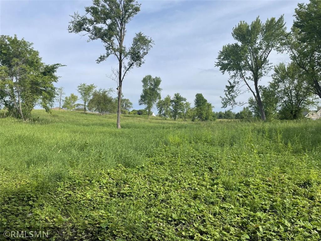 View of Land at 4575 Spruce Way, Orono MN 55359, Orono - Mike Wilen | Minnesota Team Real Estate