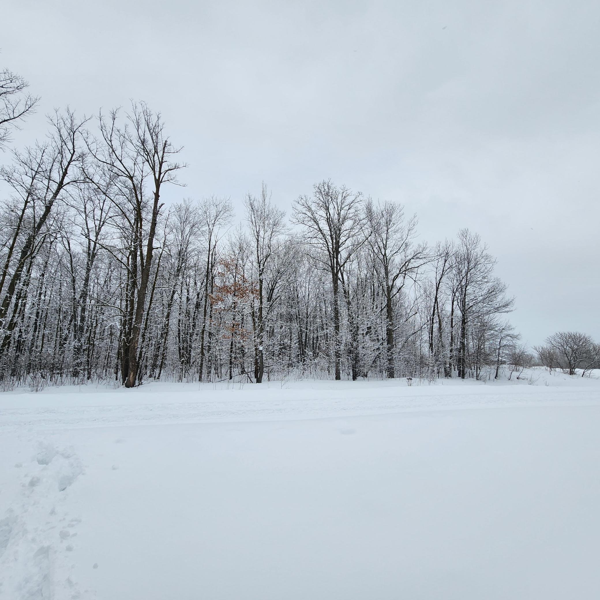View of Land at xxxx 175th Street, Ogilvie MN 56353, Ogilvie - Mike Wilen | Minnesota Team Real Estate
