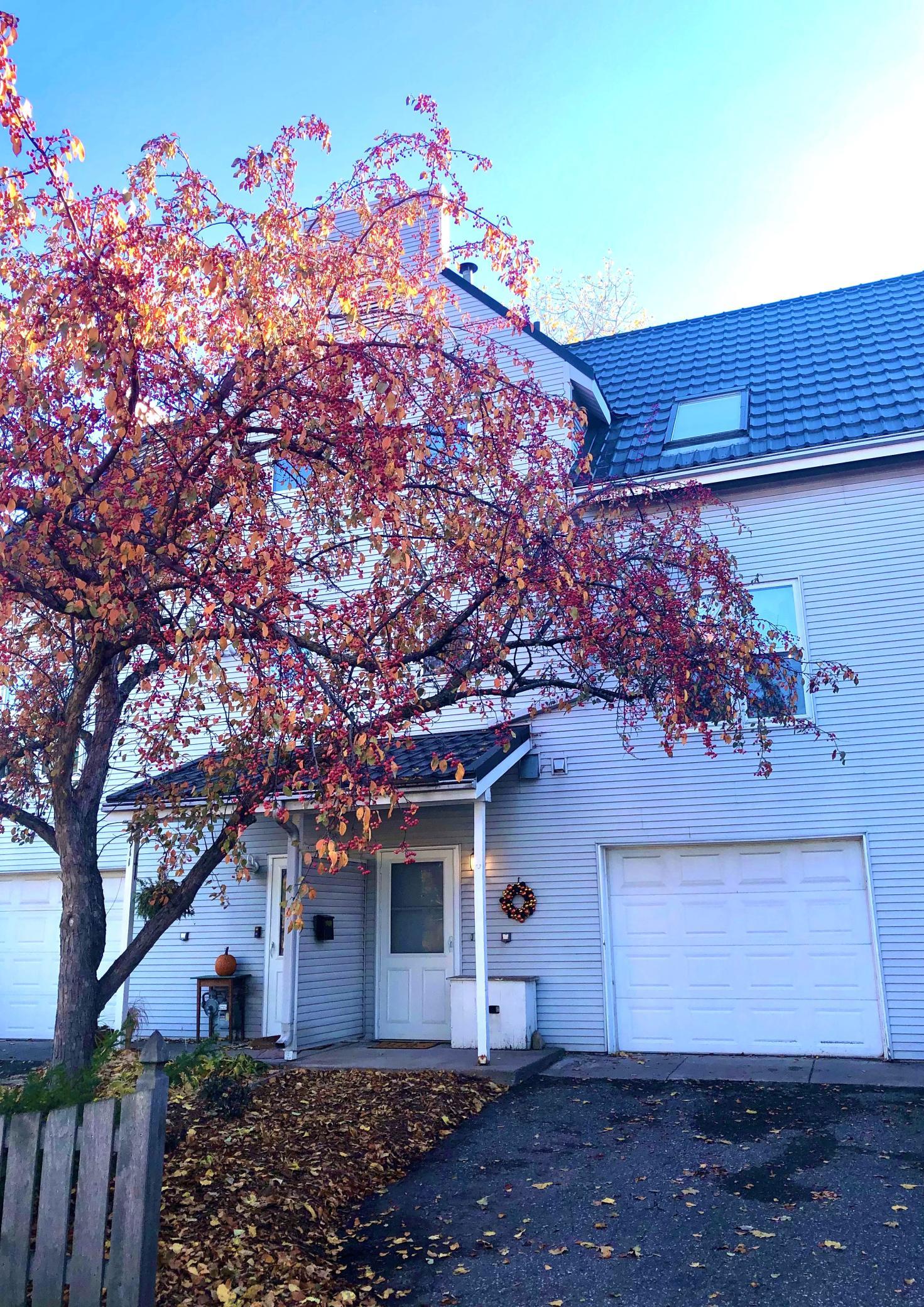 View of Residential at 1909 5th Street, Minneapolis MN 55454, Minneapolis - Mike Wilen | Minnesota Team Real Estate