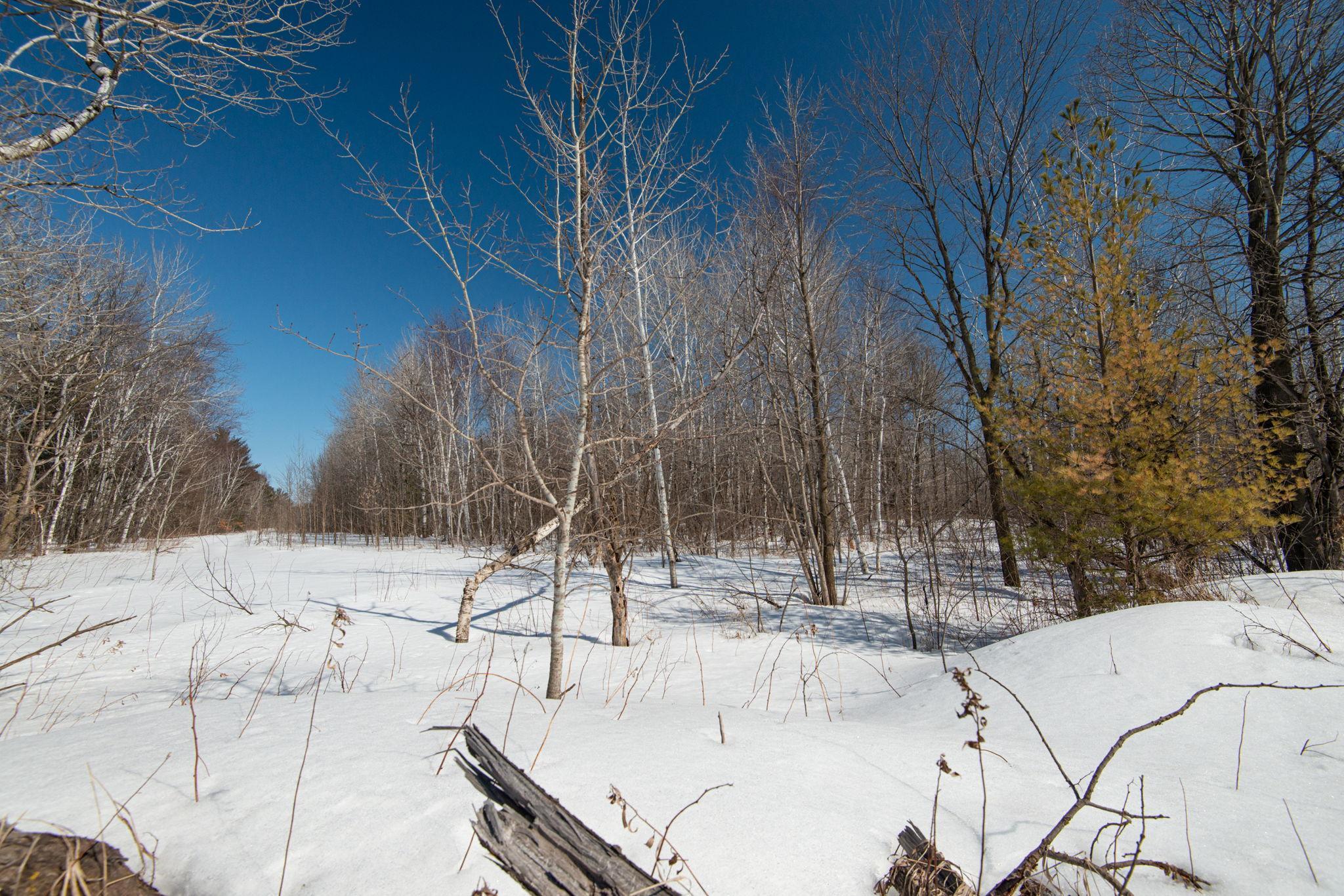 View of Land at 42150 Iris Avenue, Harris MN 55032, Harris - Mike Wilen | Minnesota Team Real Estate