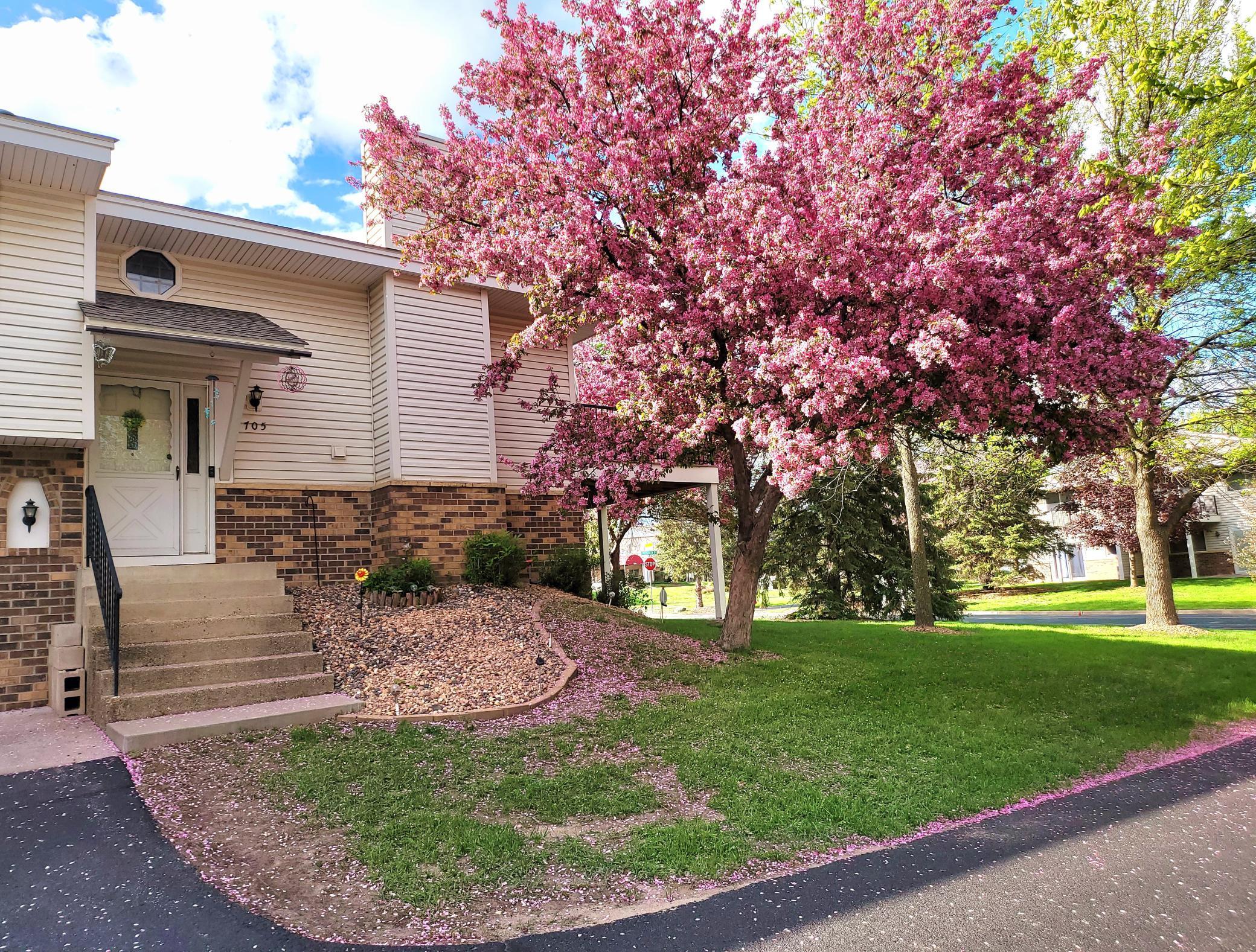 View of Residential at 705 Evergreen Court, Burnsville MN 55337, Burnsville - Mike Wilen | Minnesota Team Real Estate