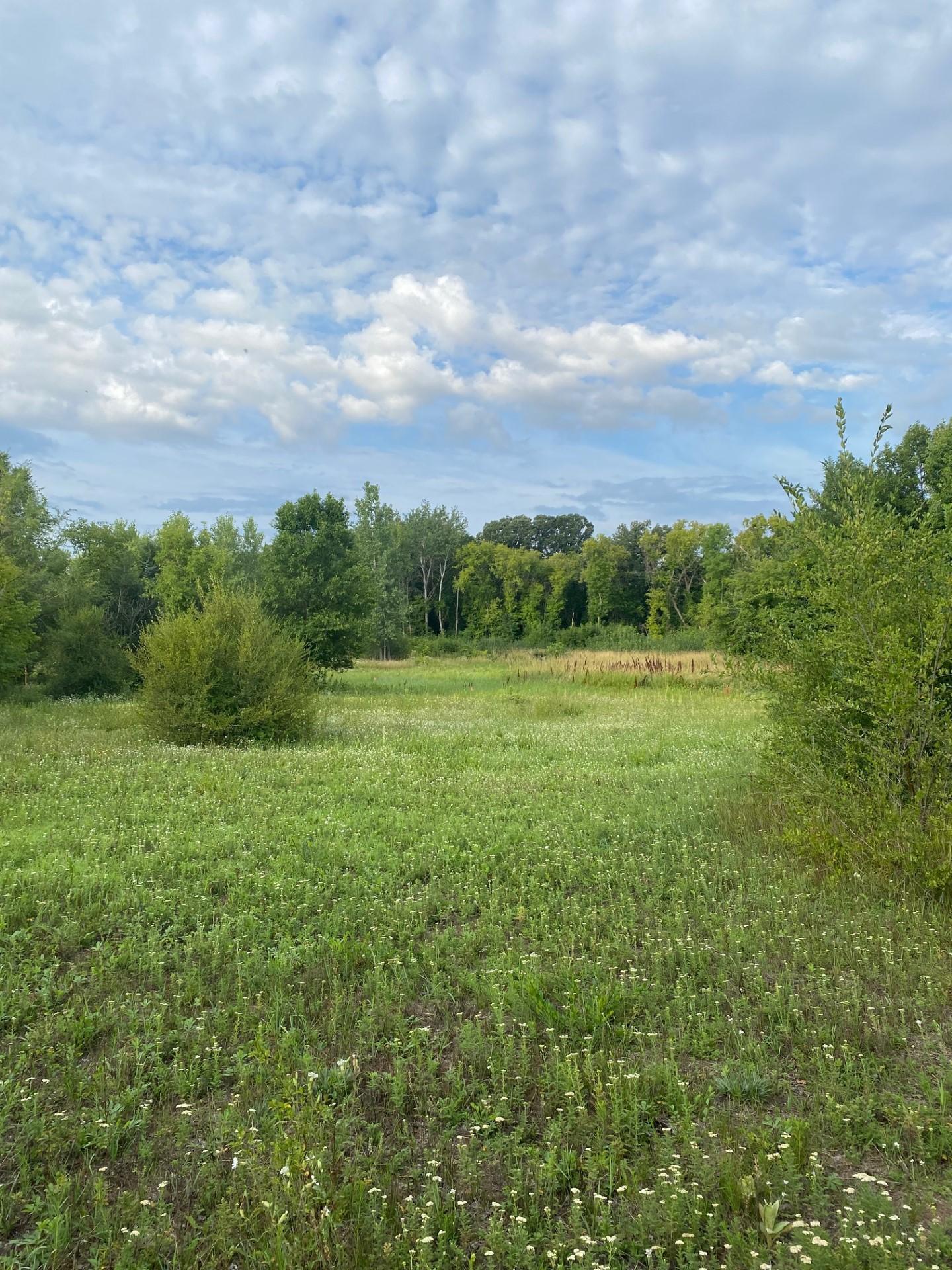 View of Land at XXXX 107th Street, Becker MN 55308, Becker - Mike Wilen | Minnesota Team Real Estate