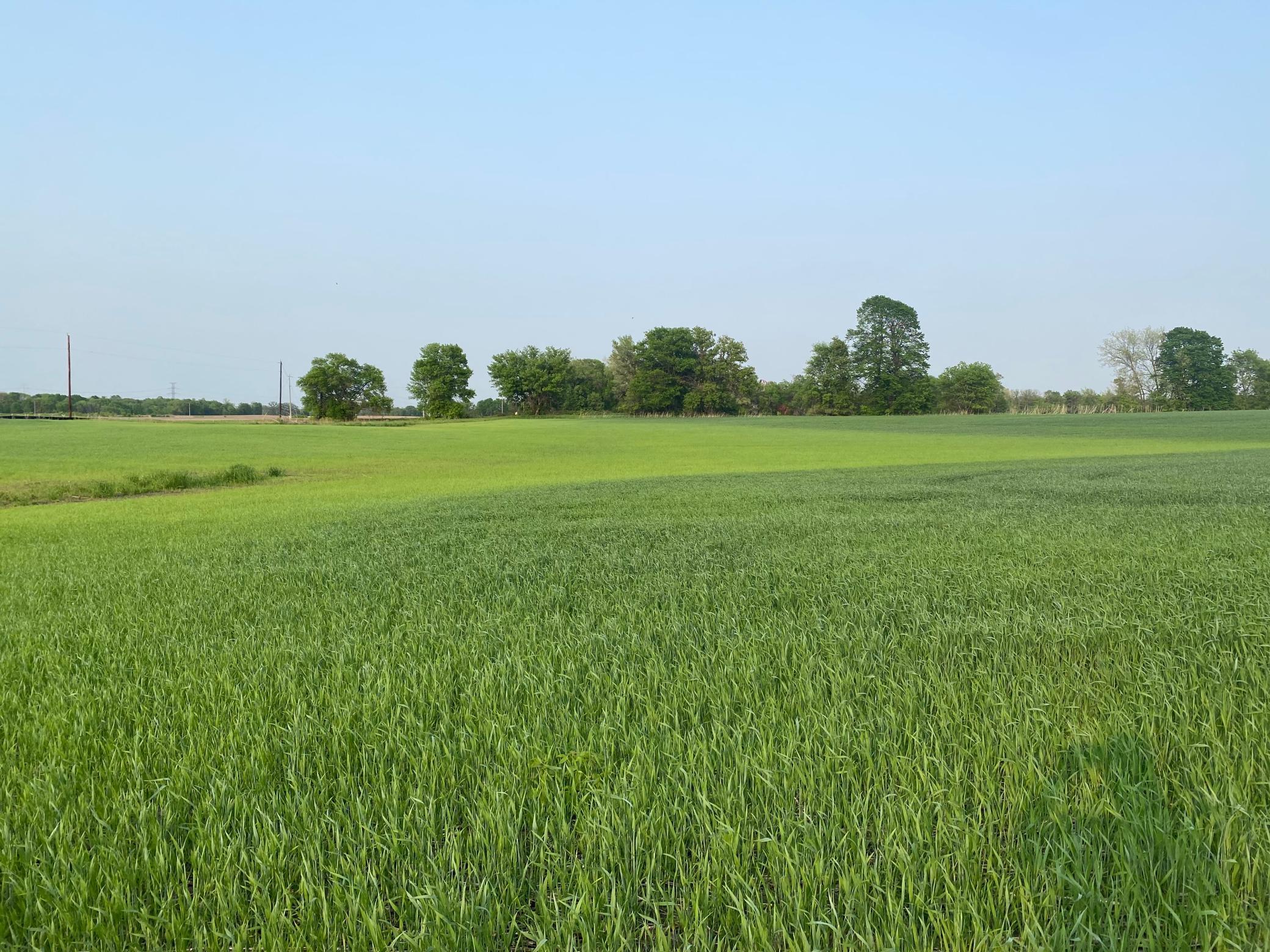 View of Land at 9010 Grace Lane, Loretto MN 55357, Loretto - Mike Wilen | Minnesota Team Real Estate