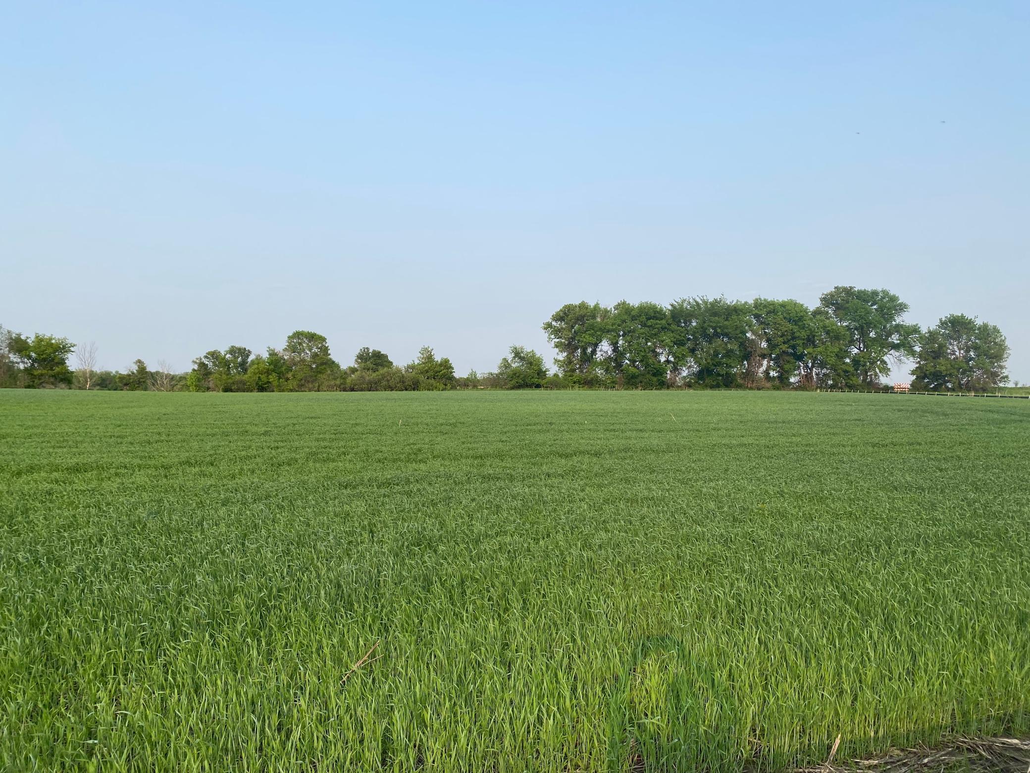 View of Land at 8890 Grace Lane, Loretto MN 55357, Loretto - Mike Wilen | Minnesota Team Real Estate