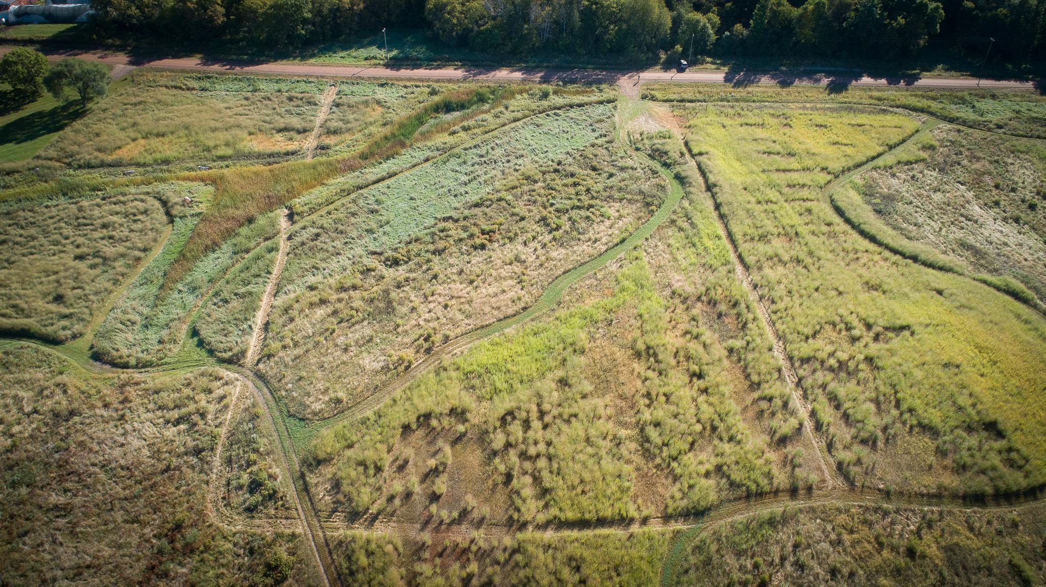 View of Land at XXXXX Virgo Street NE (Lot 1), North Branch MN 55056, North Branch - Mike Wilen | Minnesota Team Real Estate
