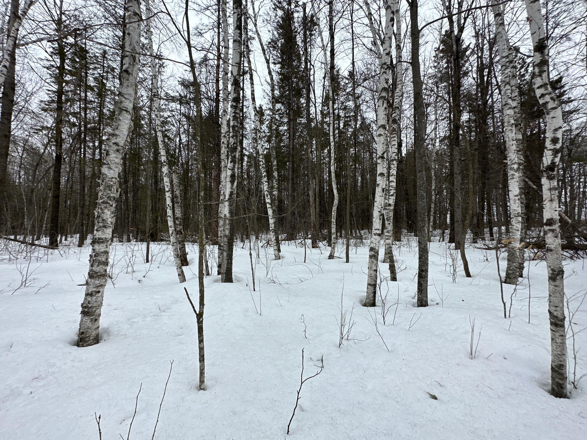 View of Land at XX 30th Avenue, Isle MN 56342, Isle - Mike Wilen | Minnesota Team Real Estate