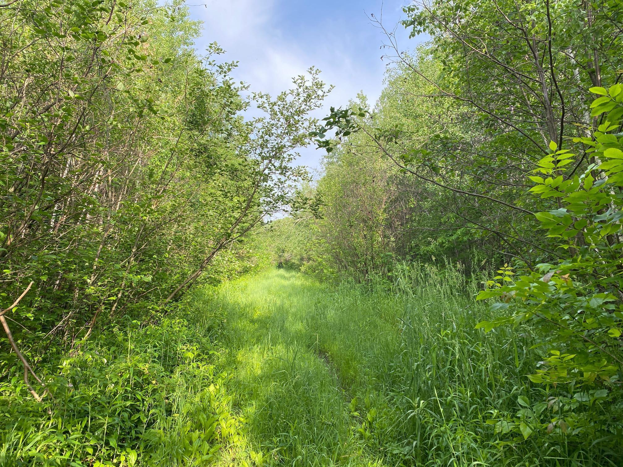 View of Land at XX 330th Street, Onamia MN 56359, Onamia - Mike Wilen | Minnesota Team Real Estate