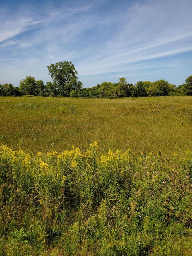 View of Land at XXX 119th St, Stillwater MN 55082, Stillwater - Mike Wilen | Minnesota Team Real Estate