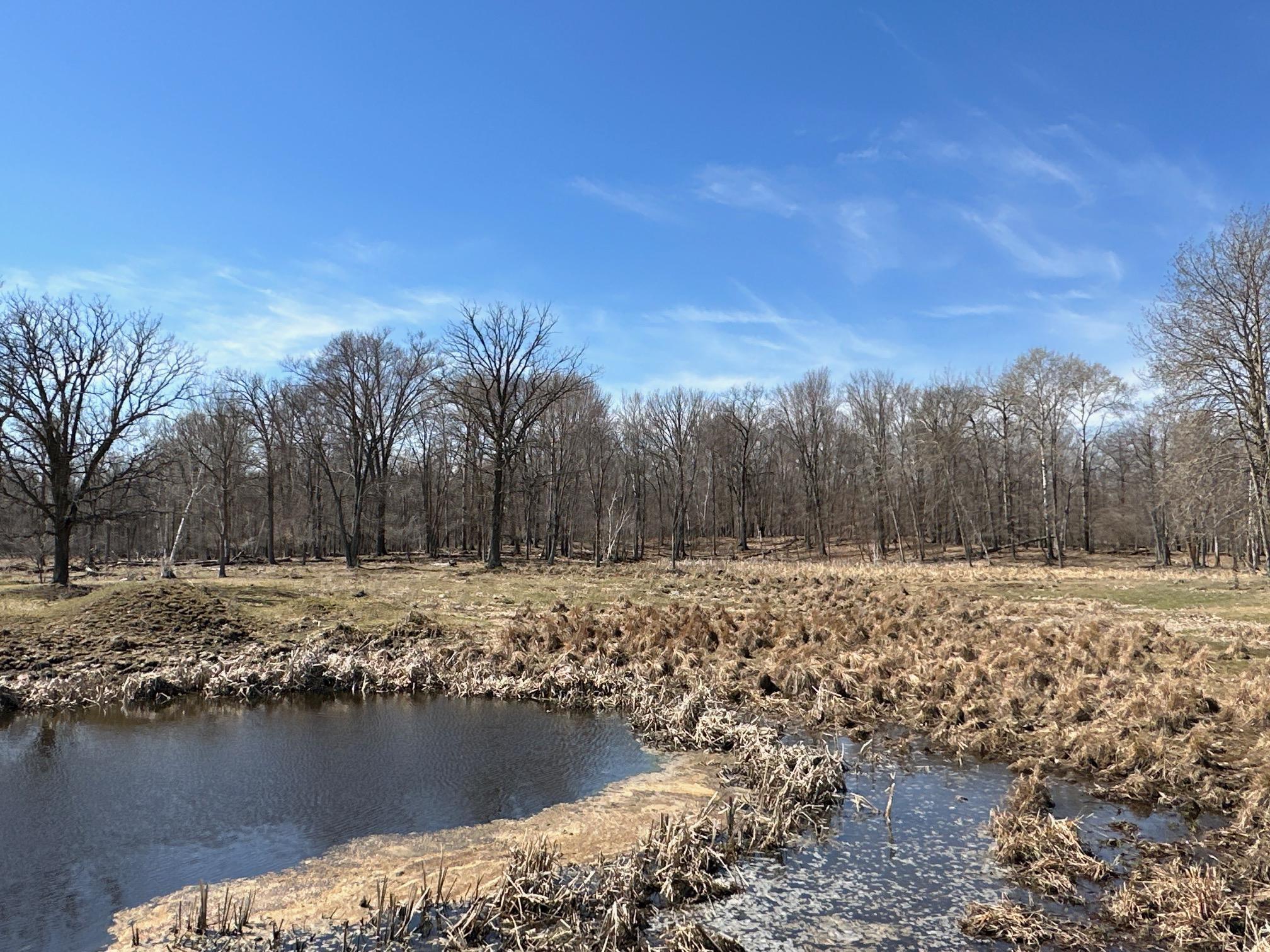 View of Land at XX 200th Street, Milaca MN 56353, Milaca - Mike Wilen | Minnesota Team Real Estate