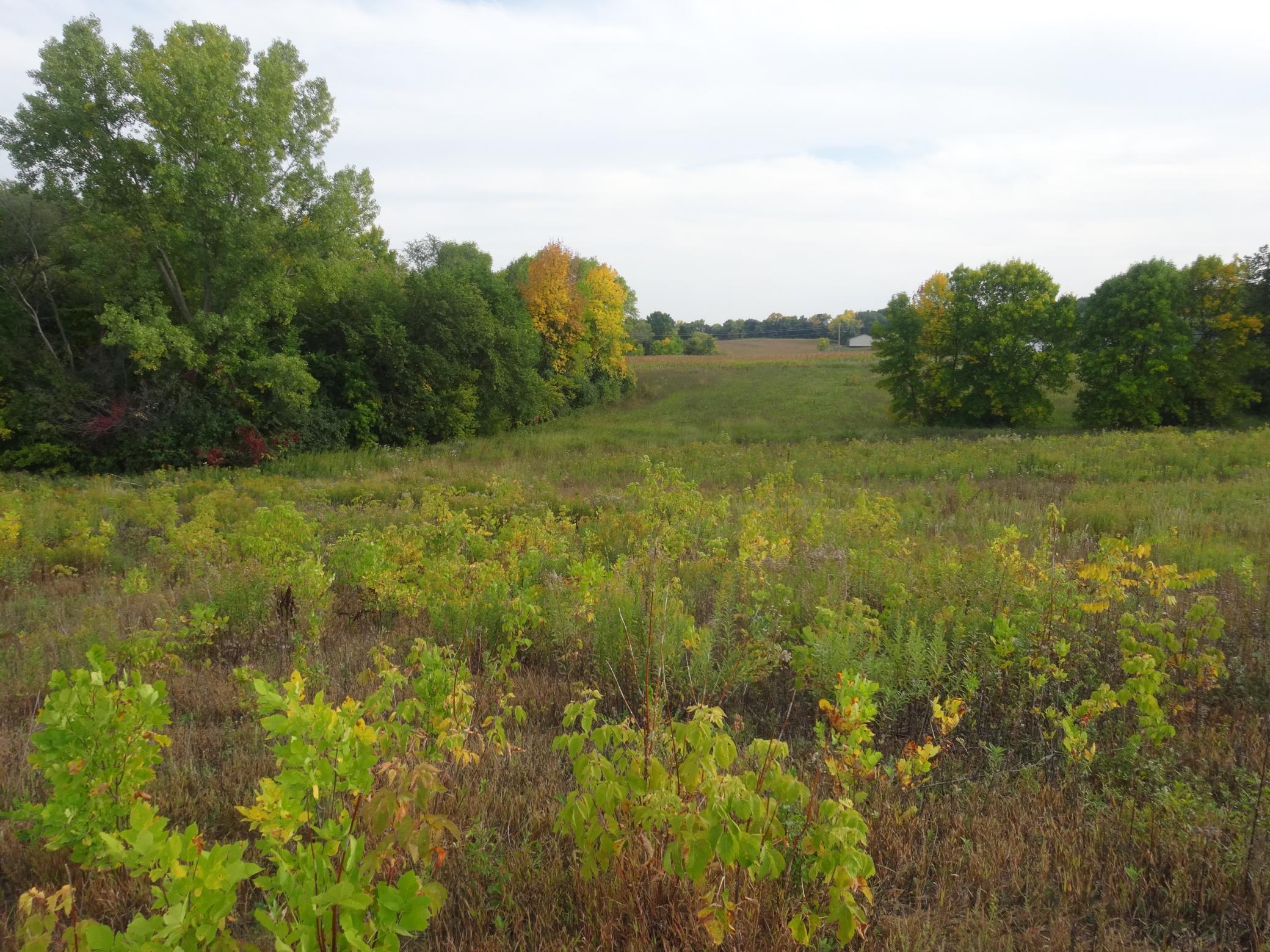 View of Land at 11XXX County Road 8, Maple Lake MN 55358, Maple Lake - Mike Wilen | Minnesota Team Real Estate