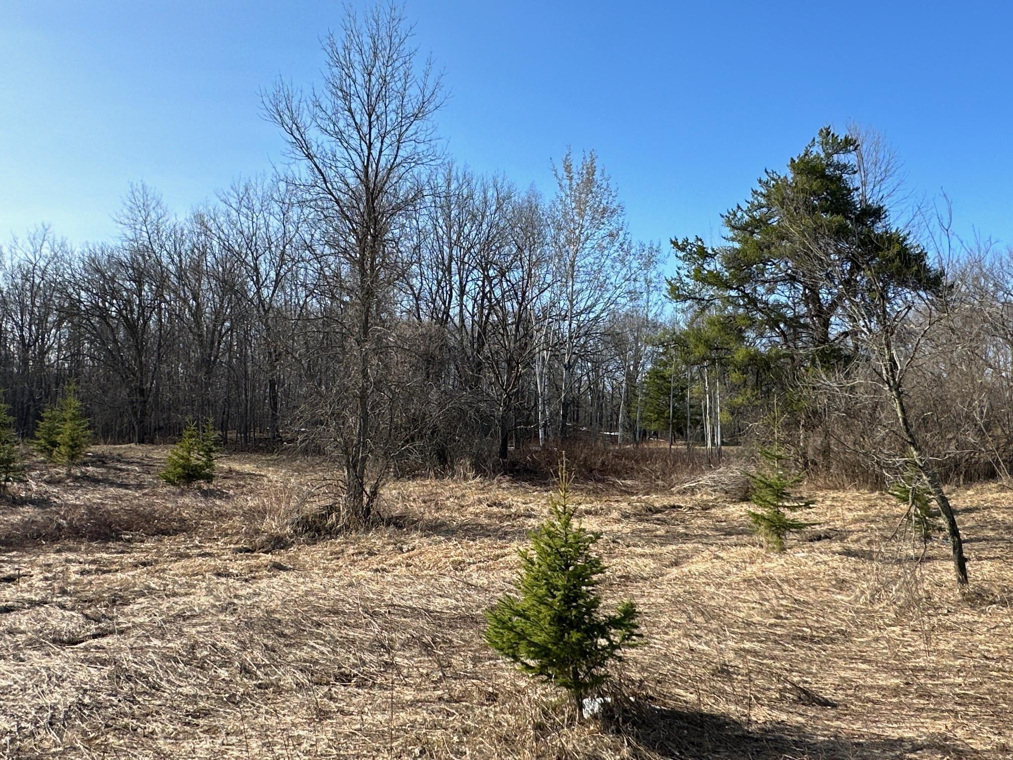 View of Land at XX Tamarac Road, Onamia MN 56359, Onamia - Mike Wilen | Minnesota Team Real Estate